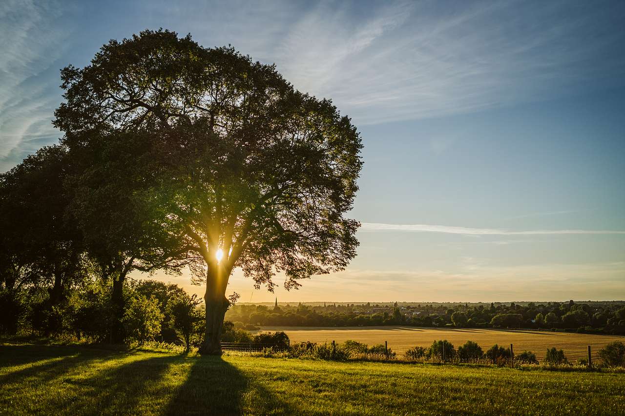 High Lodge Farm Campsite