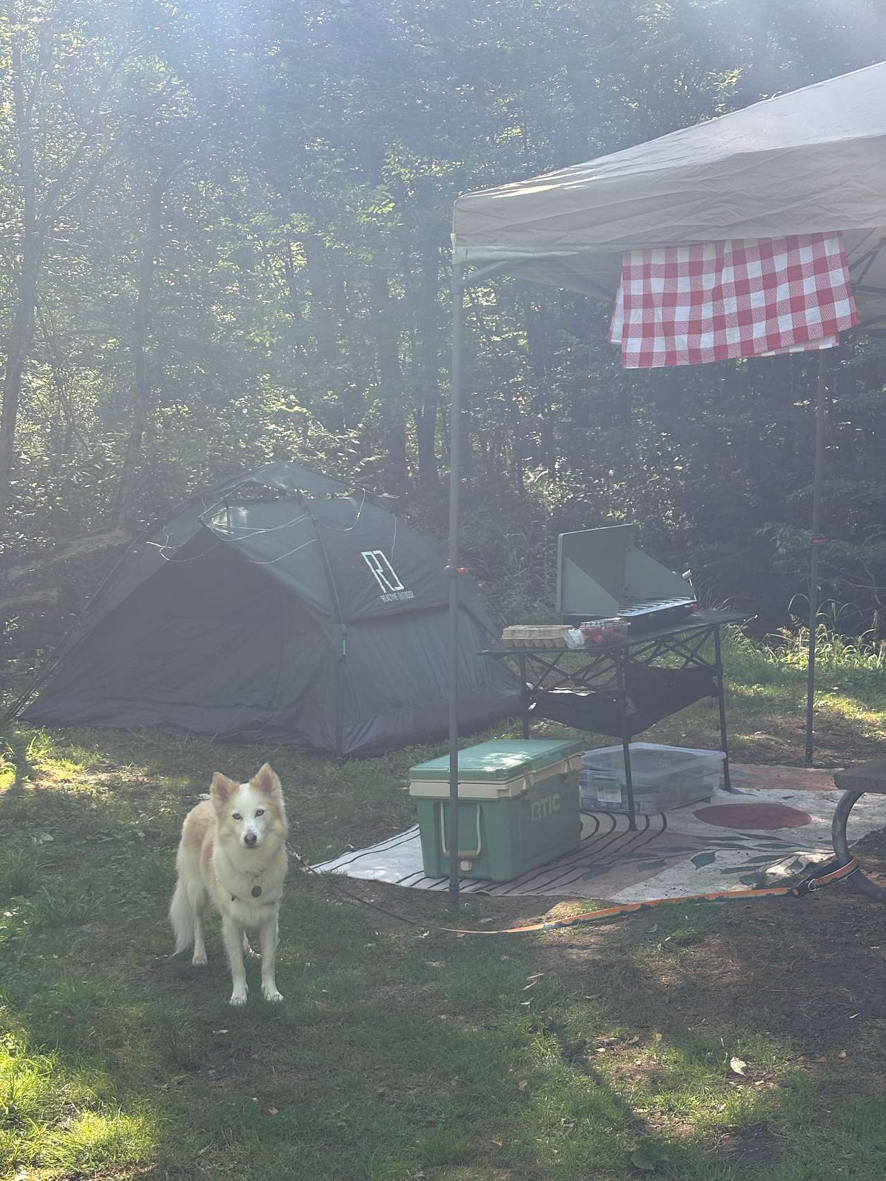 Stoney Run Primitive Tent Camping