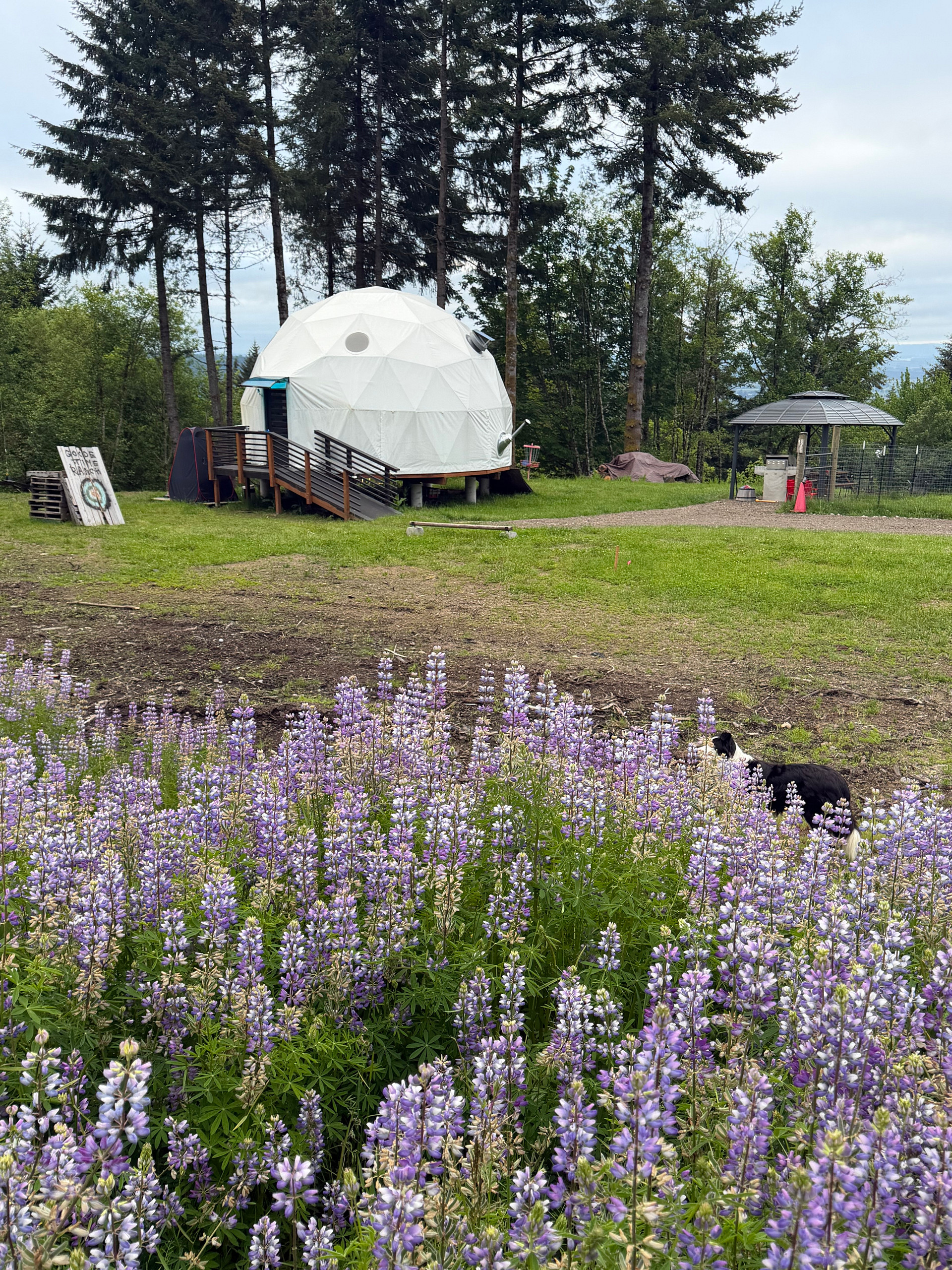River View Dome - Goode Time Ranch