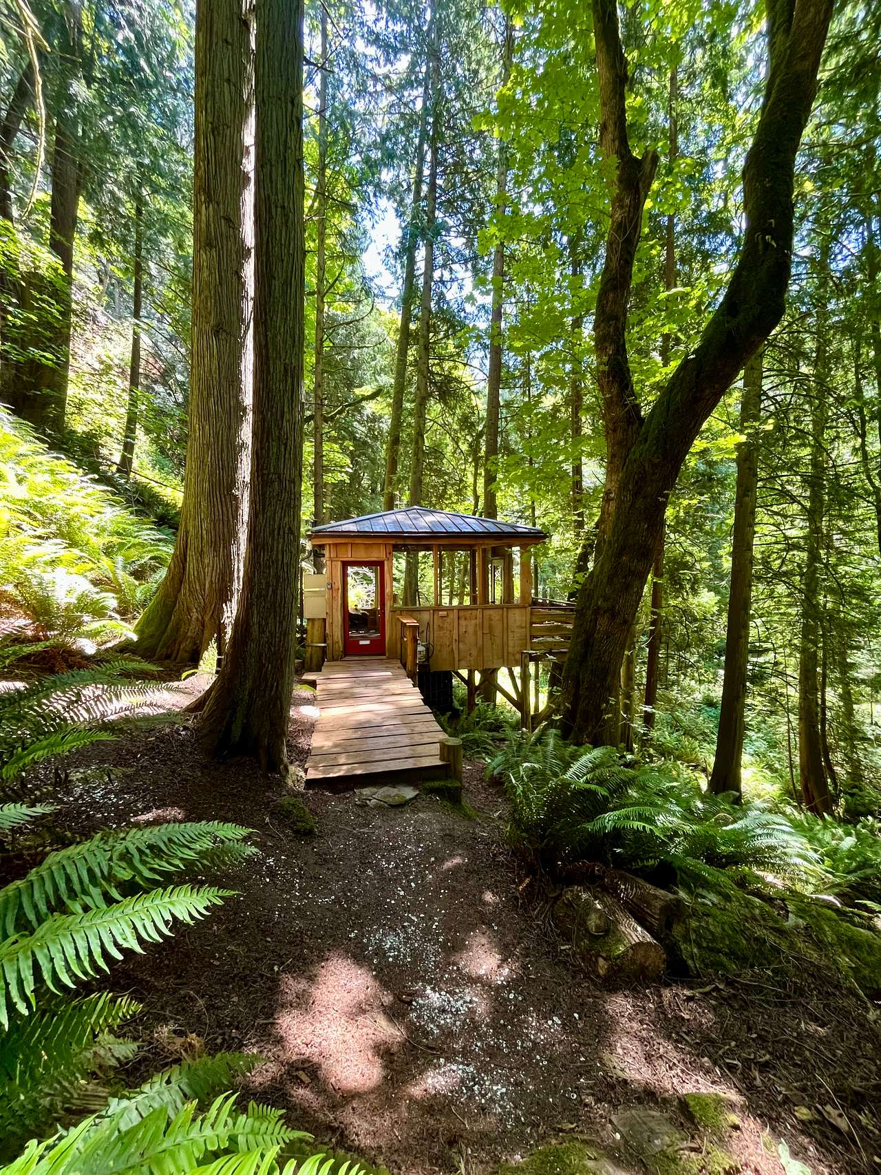 Chuckanut Mountain Forest Retreat