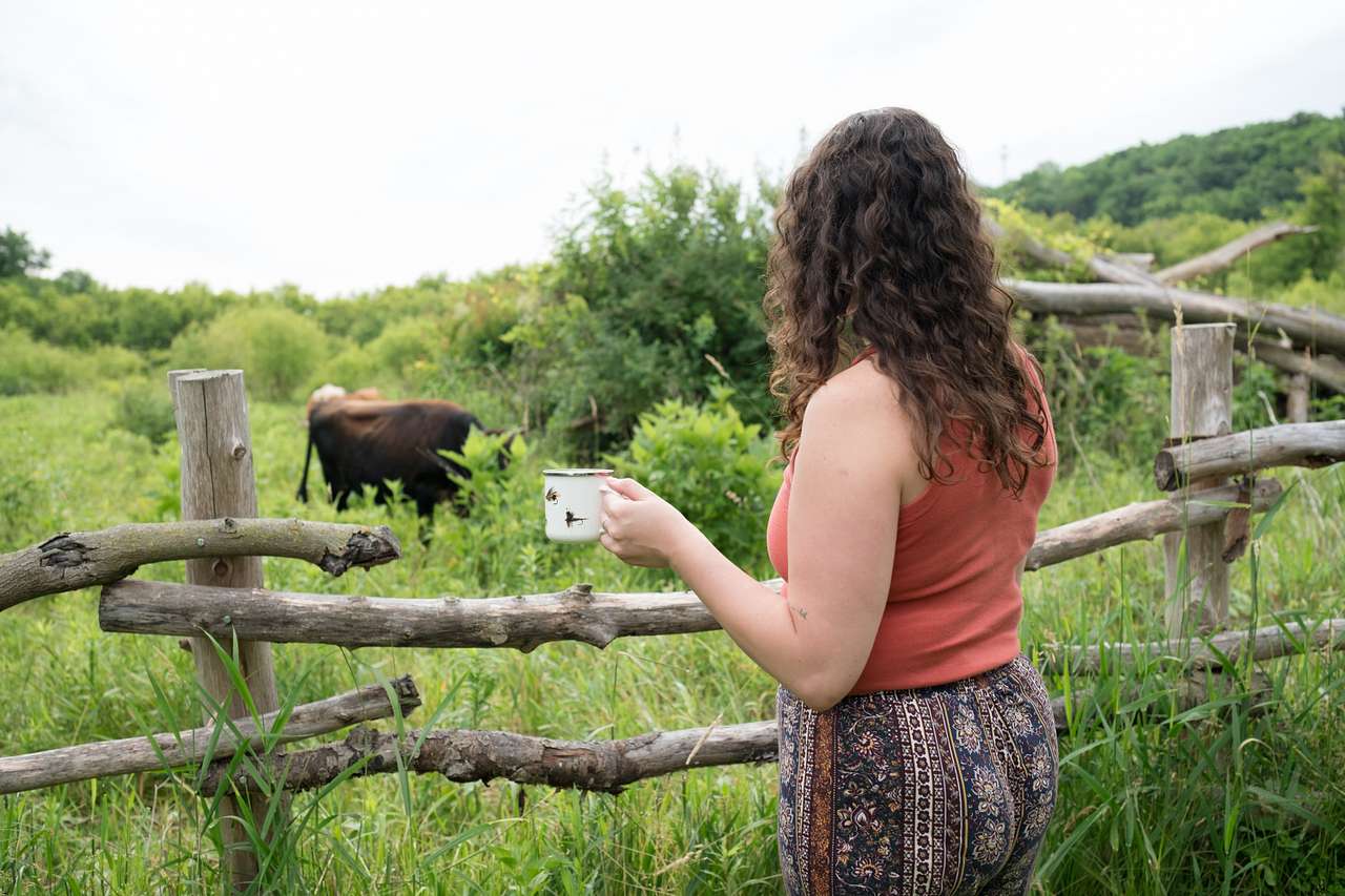 Pink River Ranch in the Driftless