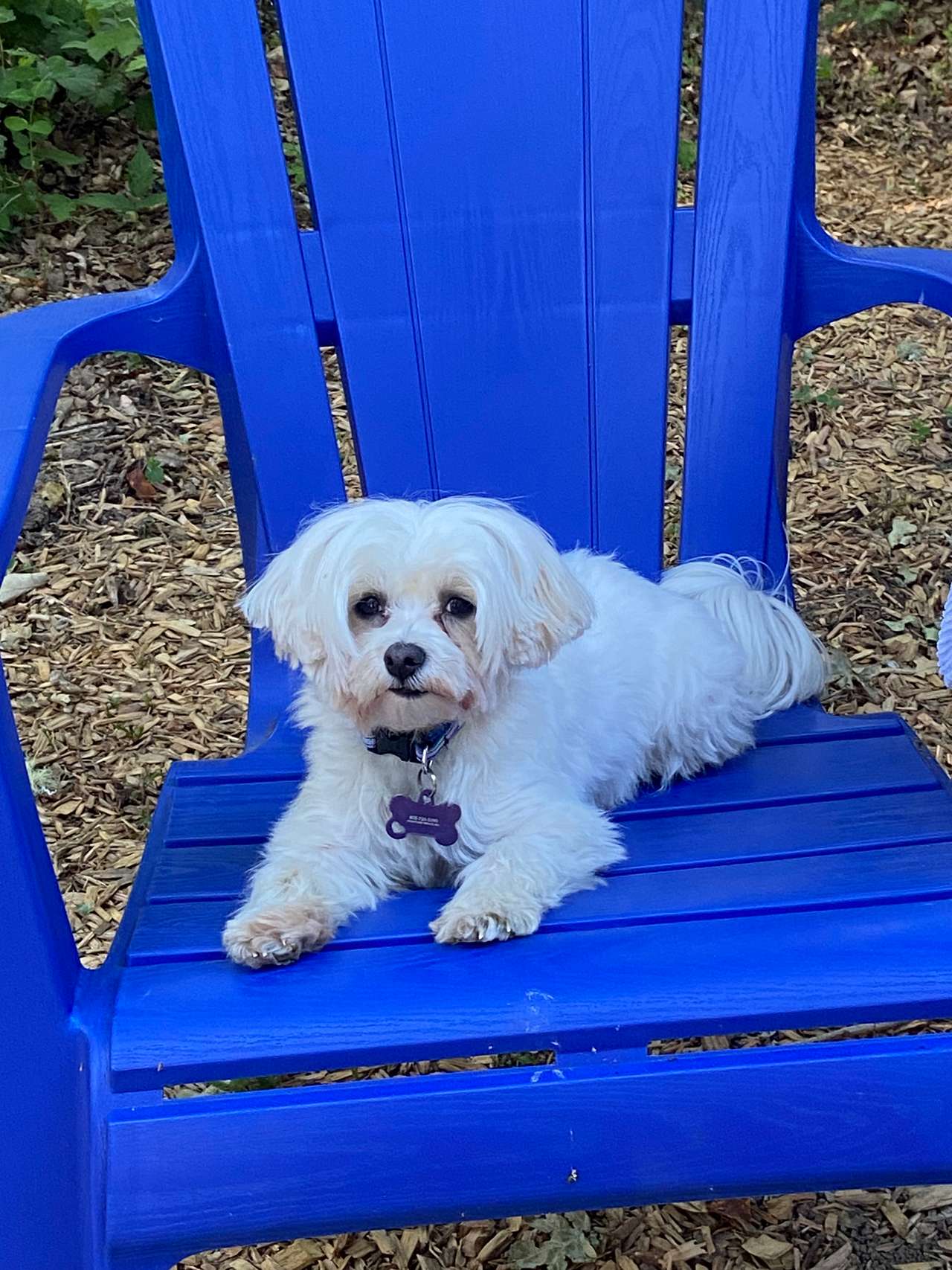 Enjoying the amenities
