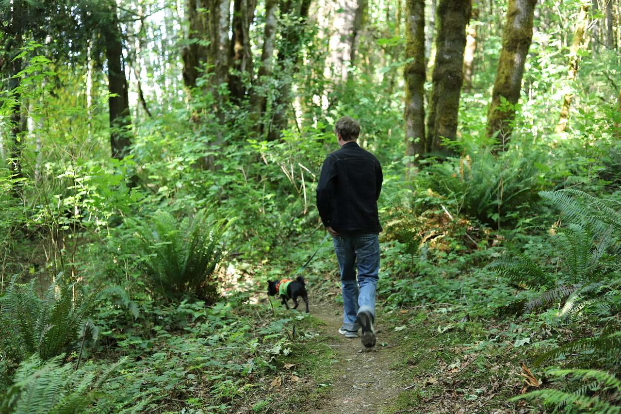 we really enjoyed walking along the path