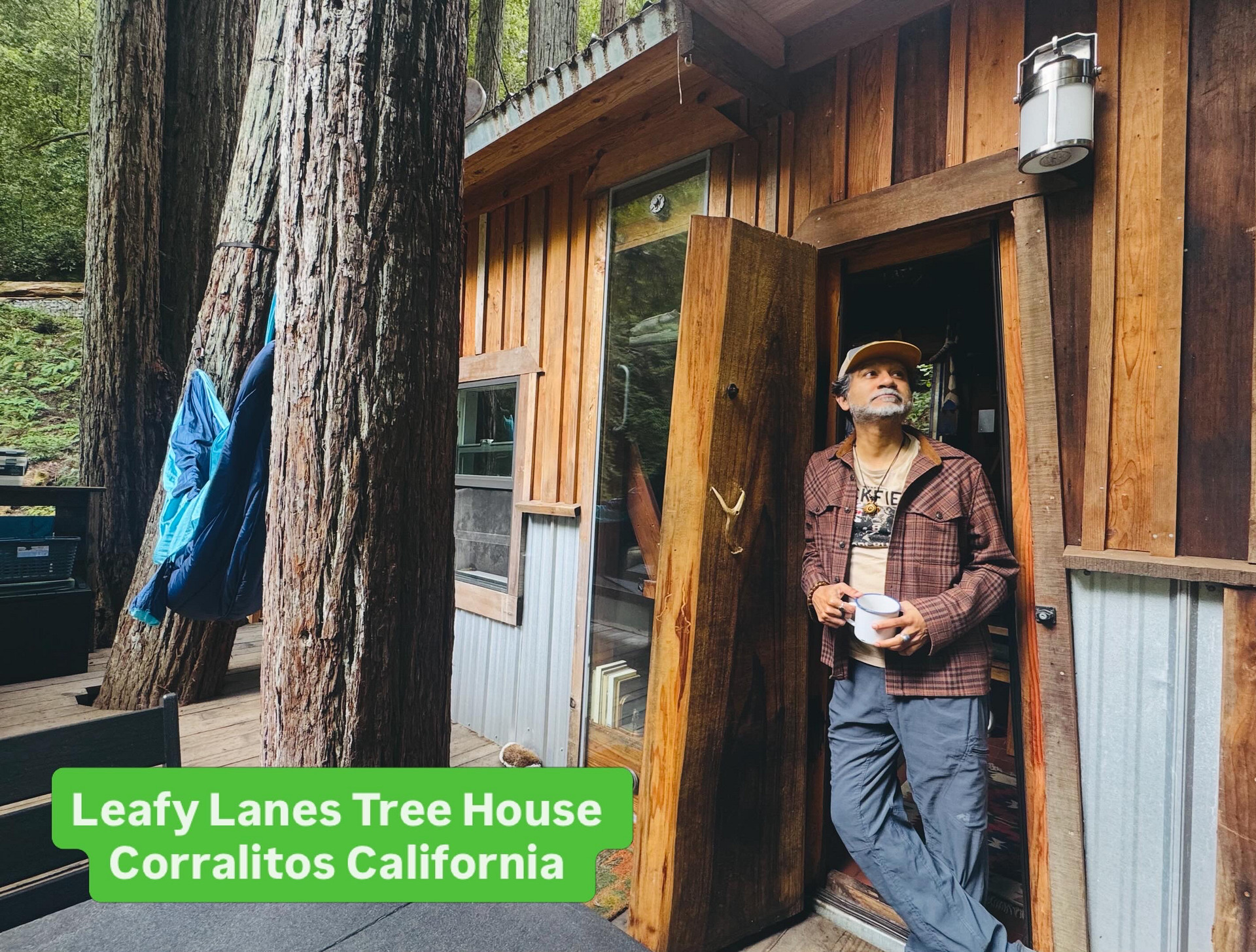 Leafy Lanes Tree House (“Fort”)