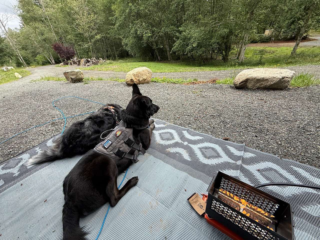 Quilcene Firwoods Getaway