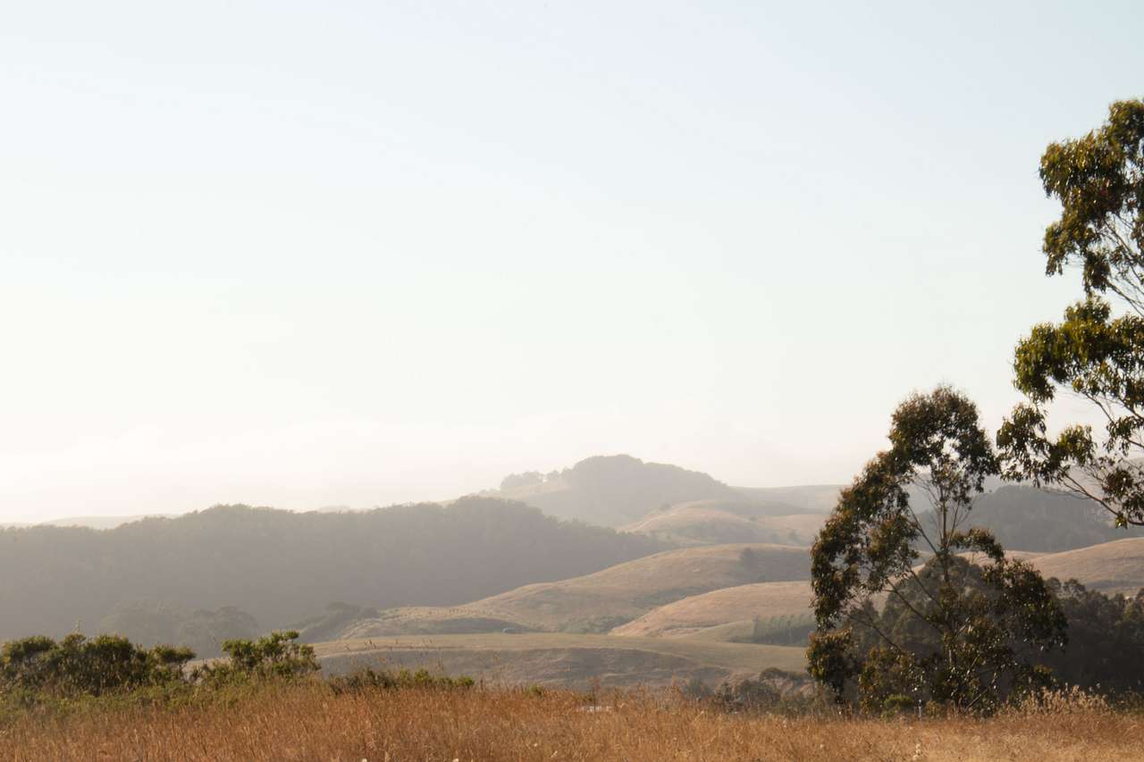 Red Dot Ranch