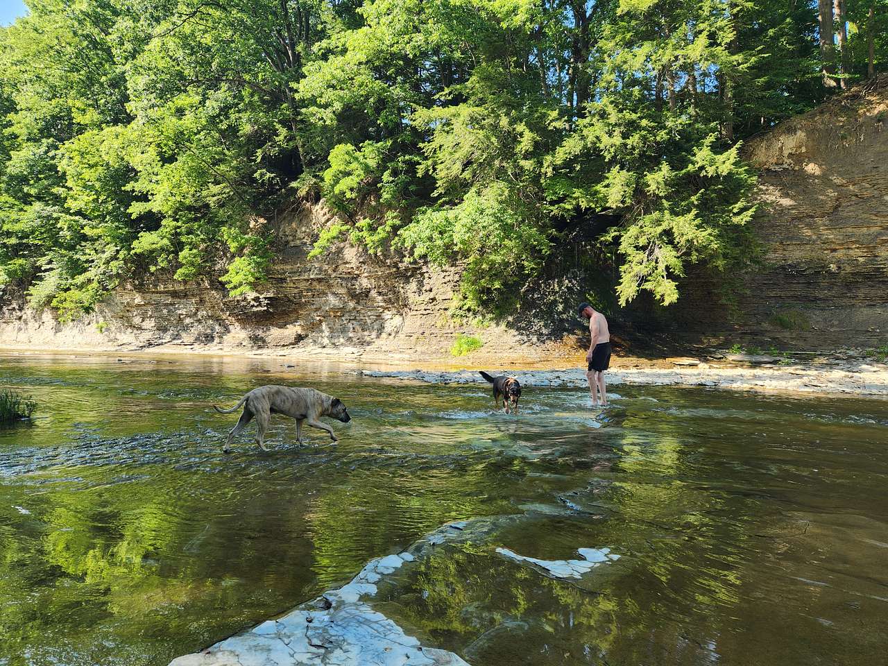 Elk Valley Creekside