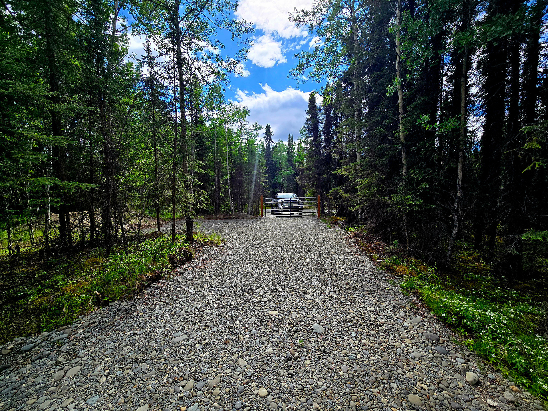 Birchwood Campground #2