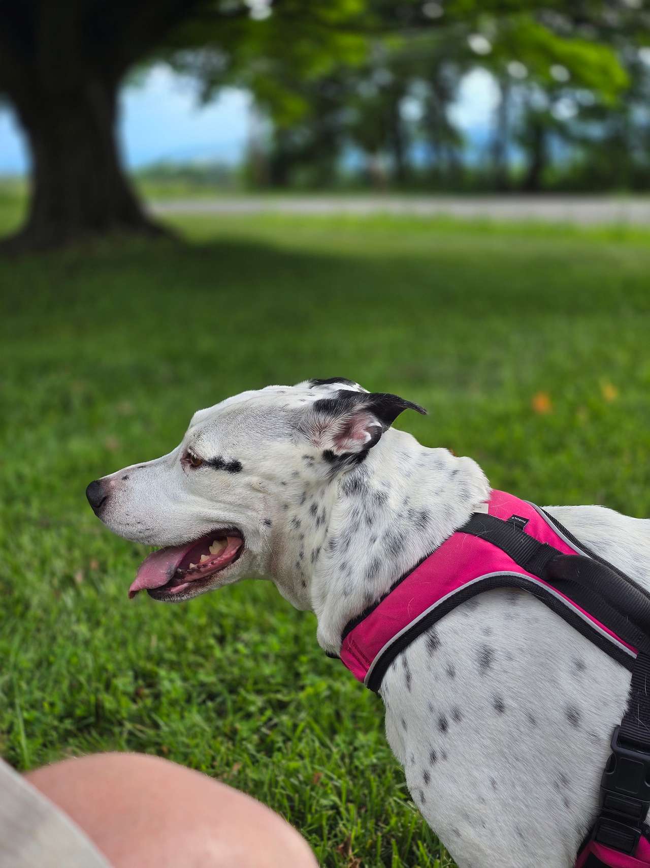 Catching fresh air