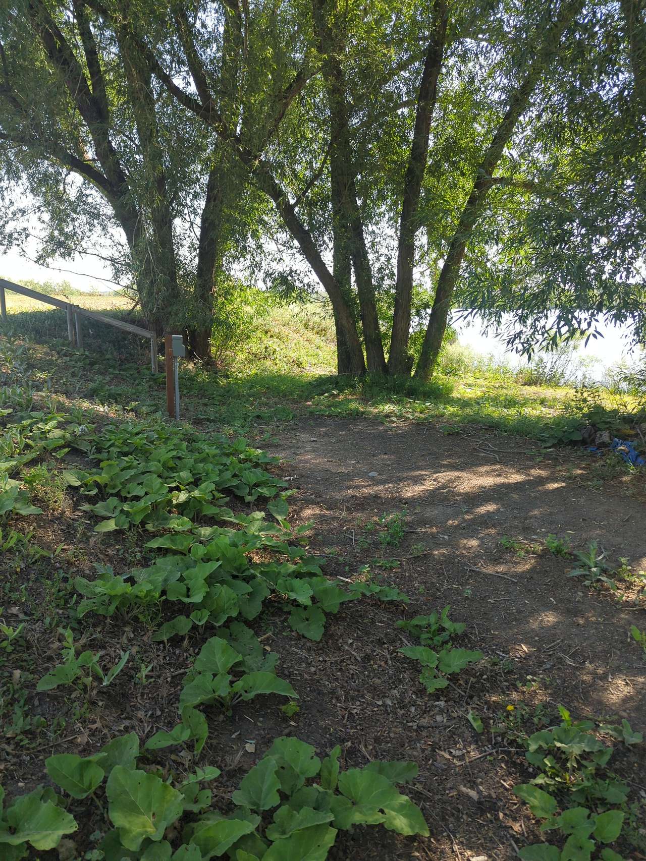 RV camping spot with 50 amp electrical connection. More word added so I can click done. . 