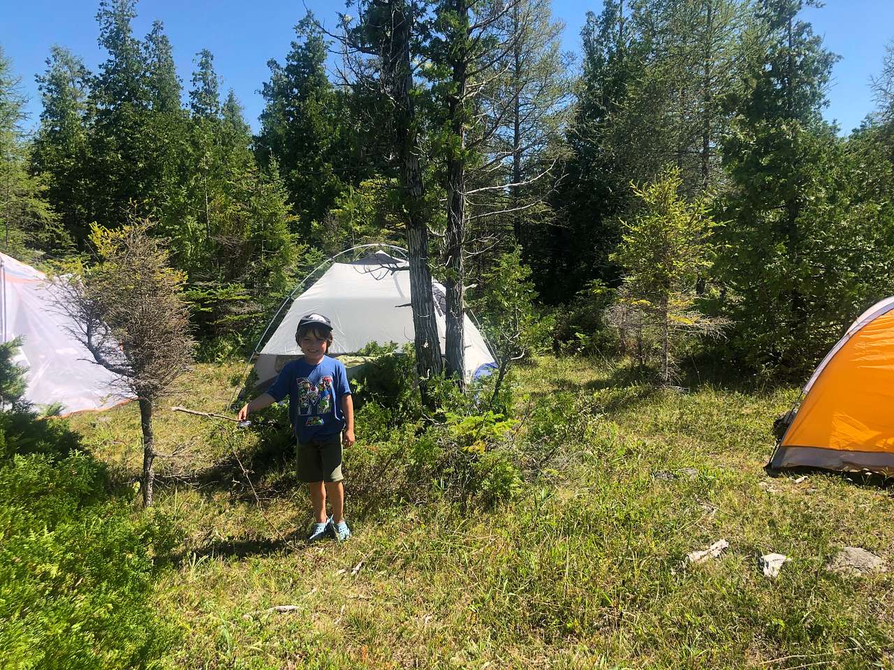 Little Pine Campsites