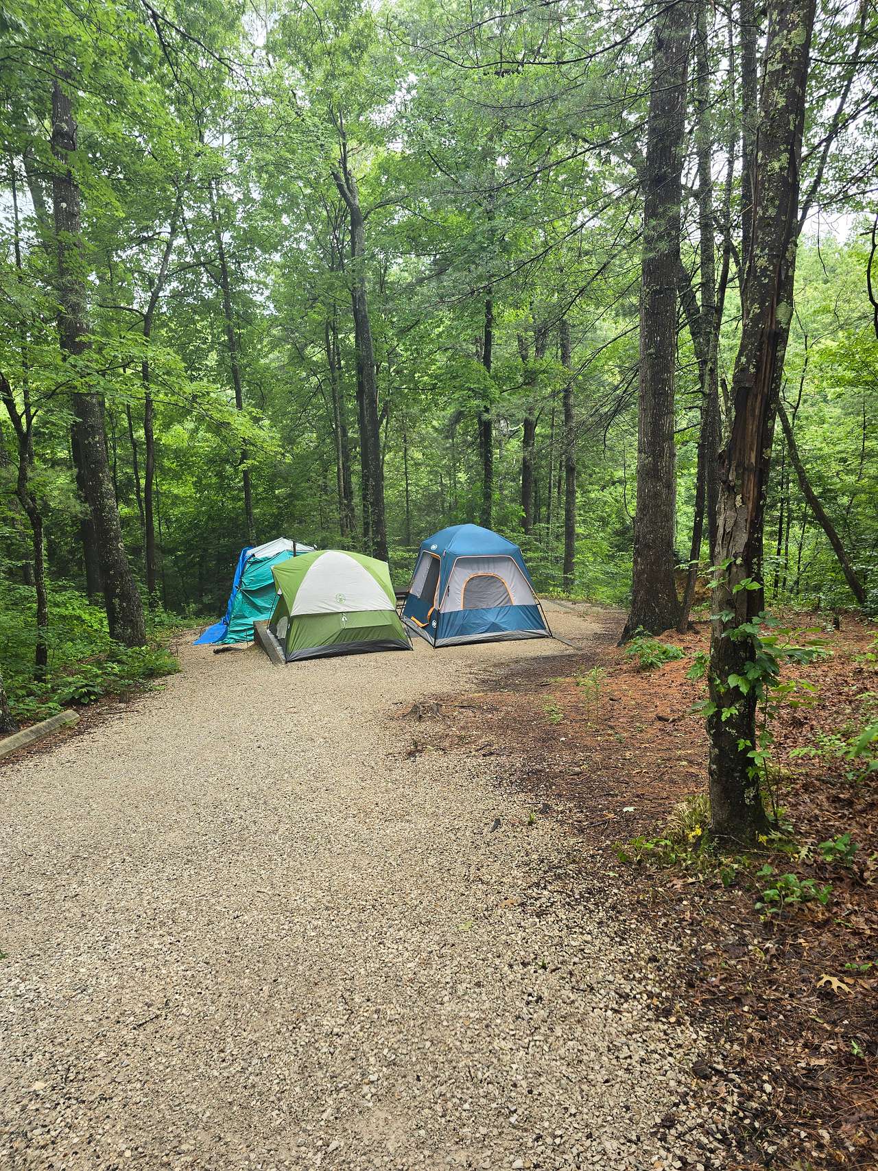 Koomer Ridge Campground
