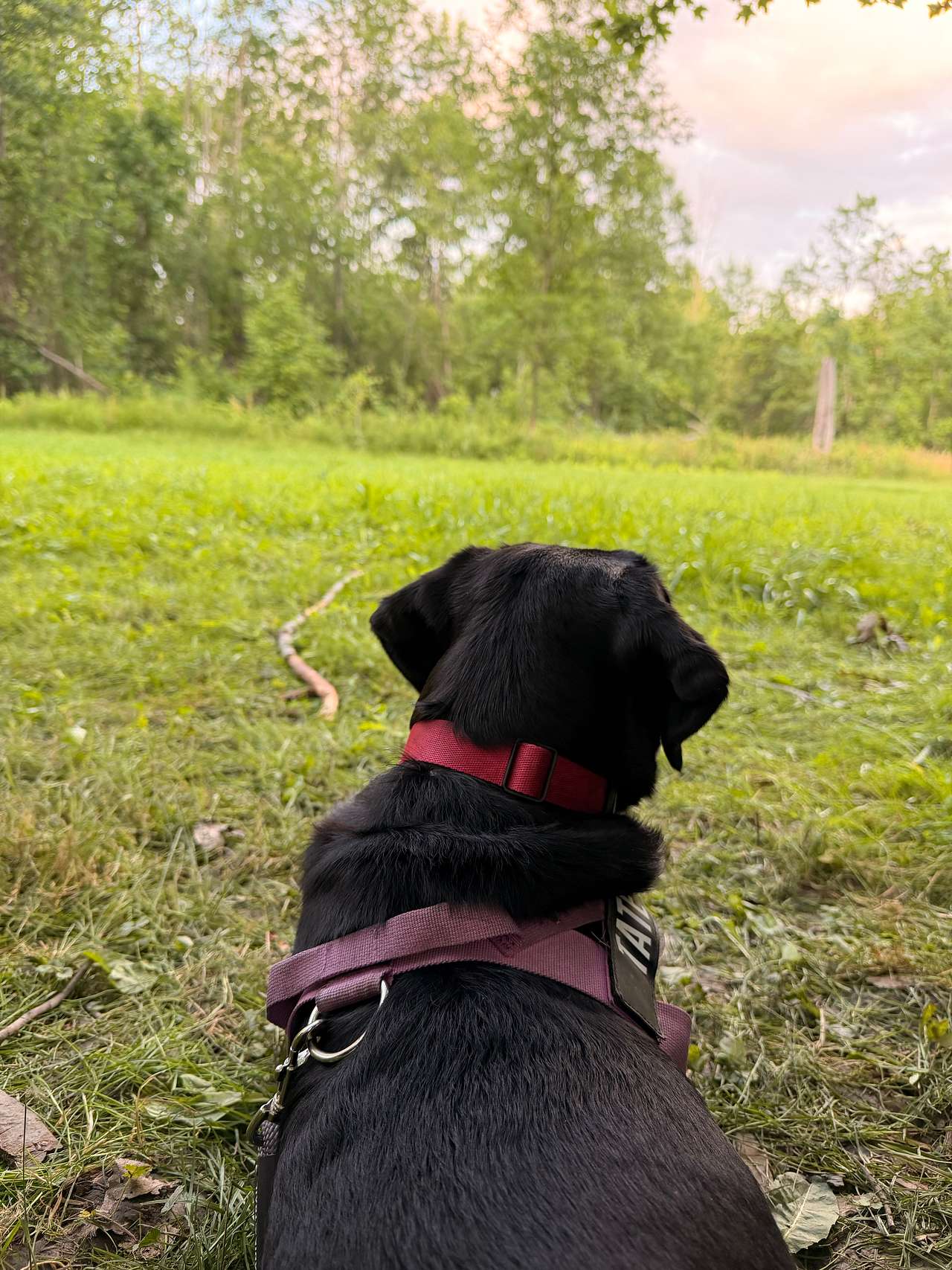 Tate winding down at the end of the day at Camp Bandur. 