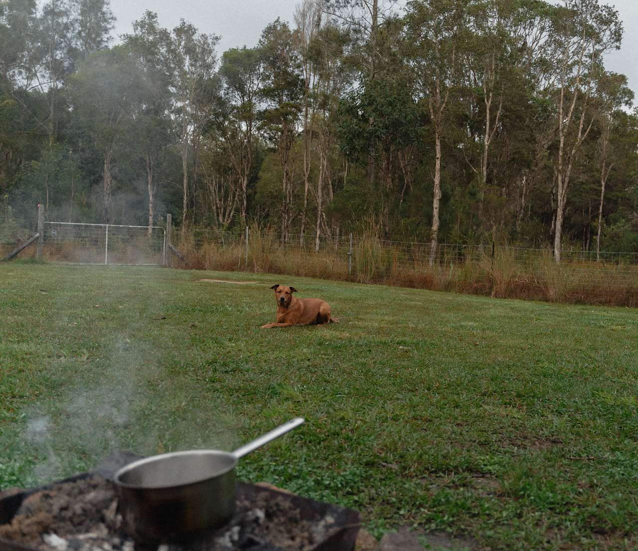 Diamond Park Campsite