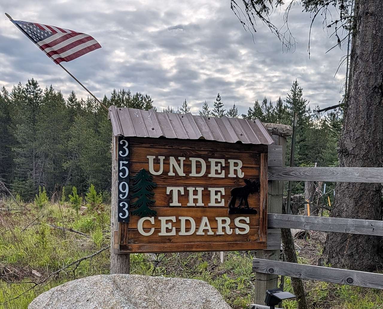 Under the Cedars