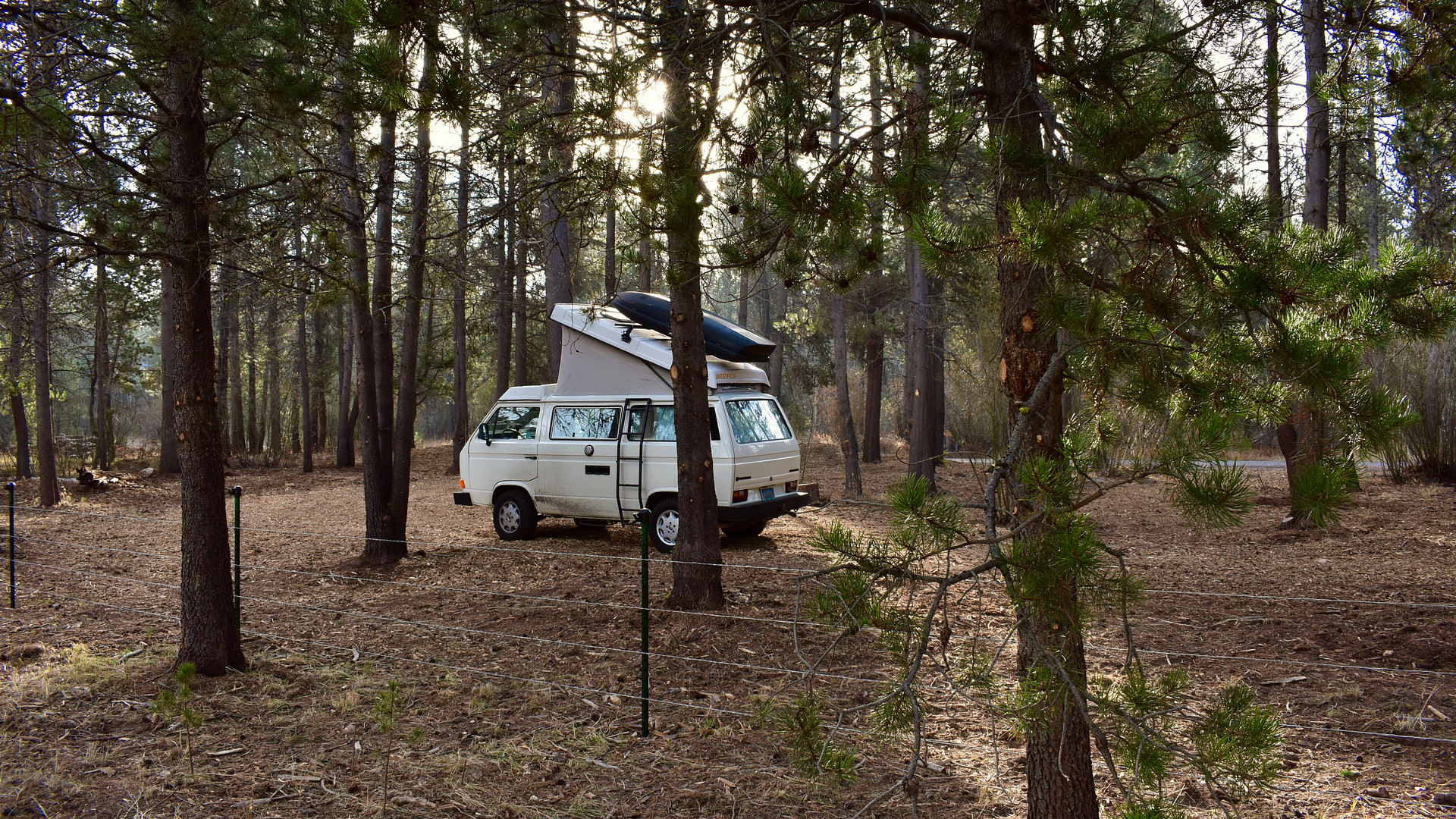 Moonrise Meadow Willow Camp