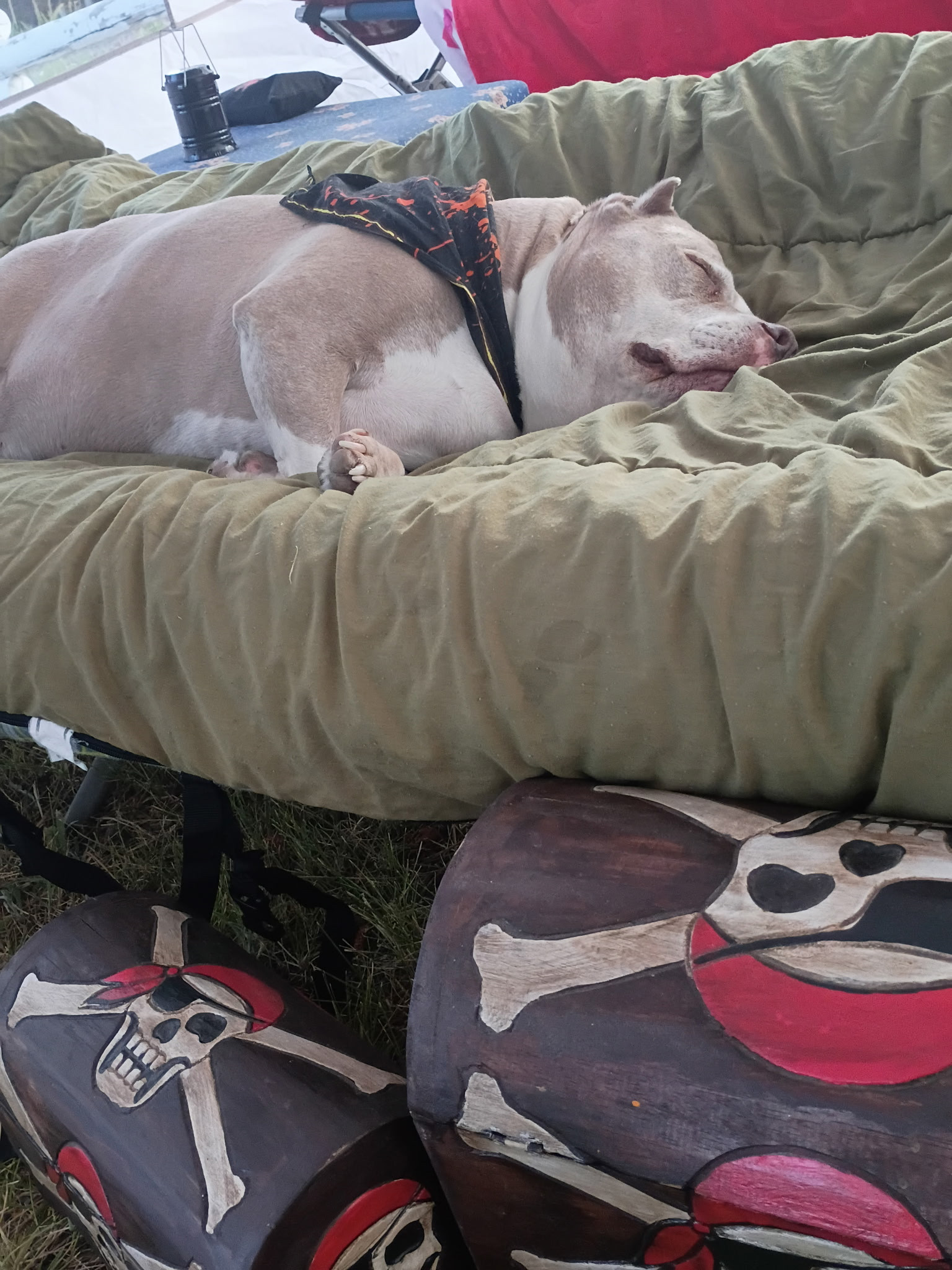 Finally set up! Nap time.