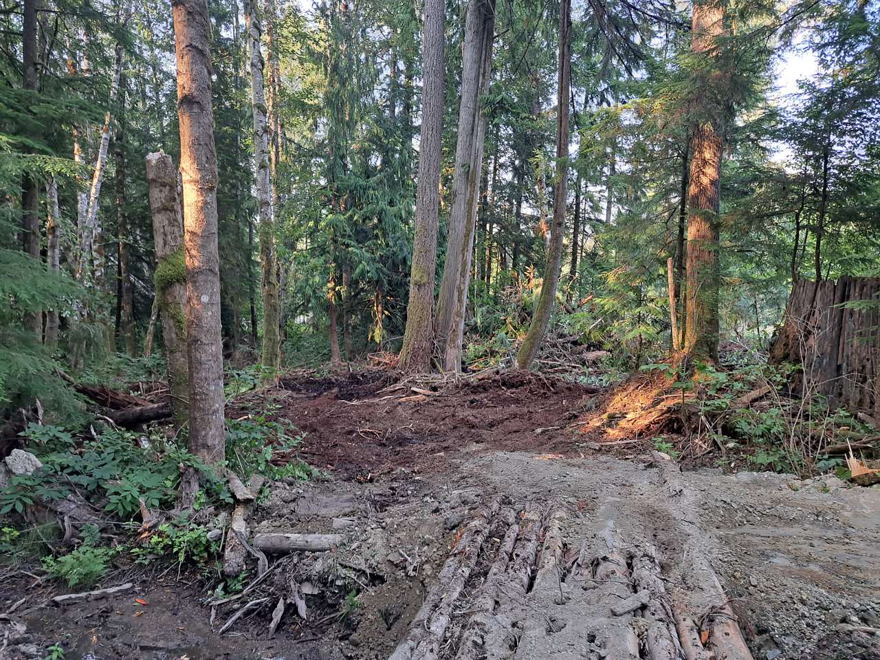 Catwalk Creek
