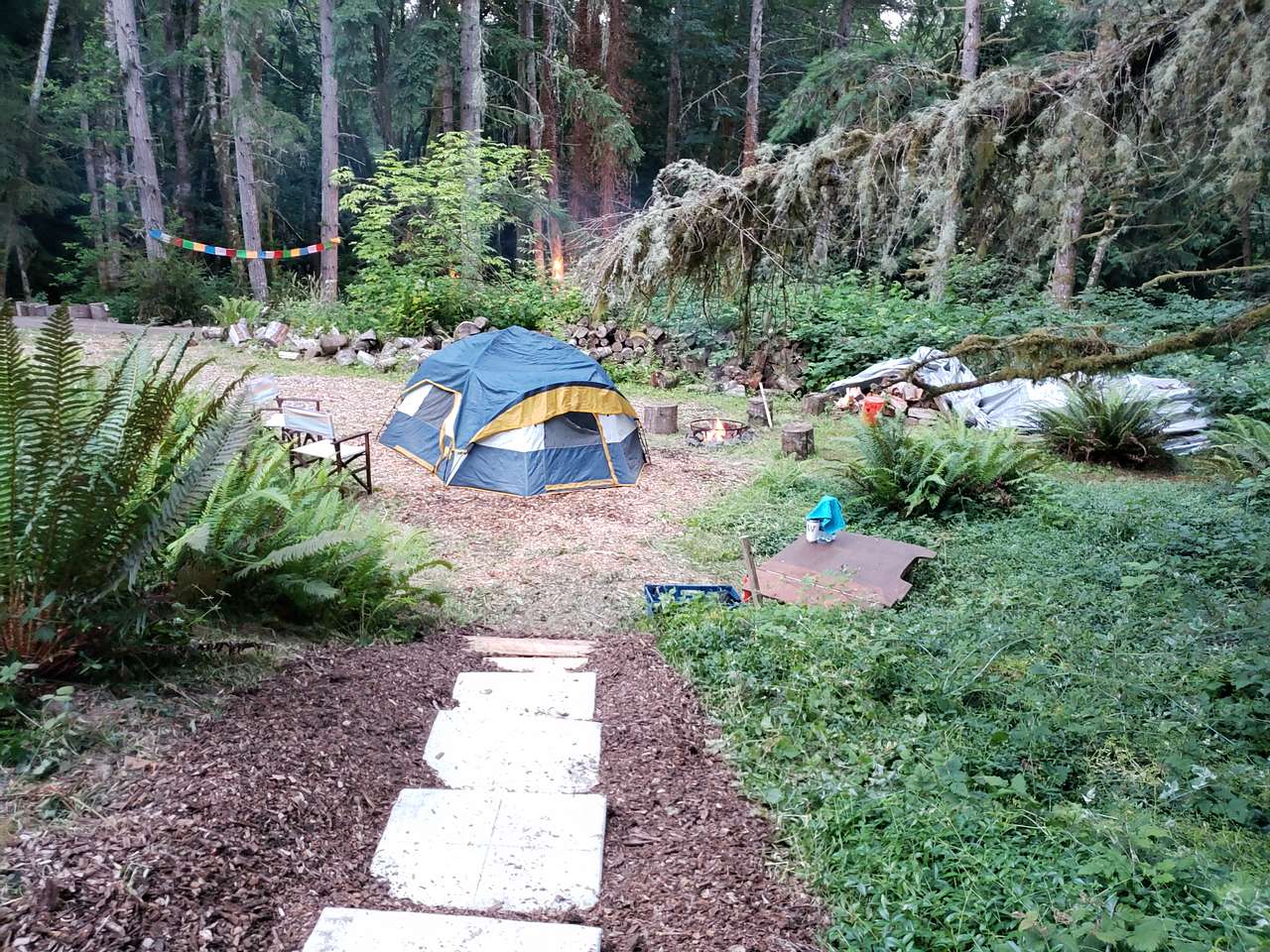 Wild Grace Forest Retreat