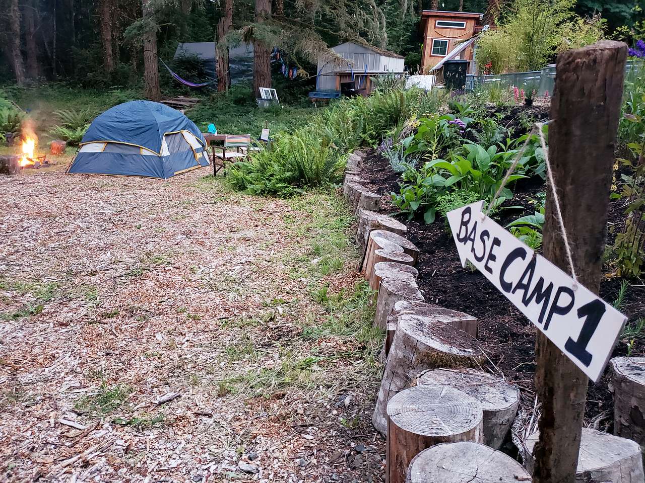 Wild Grace Forest Retreat