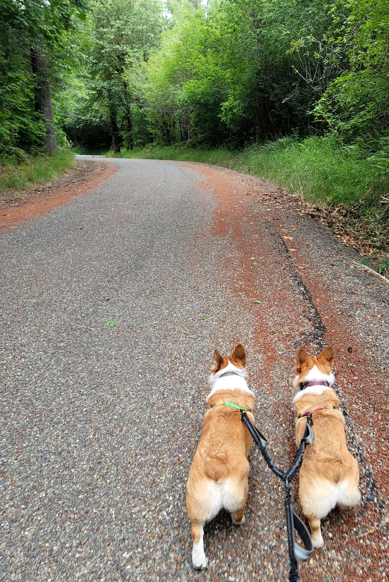 Walking the road.