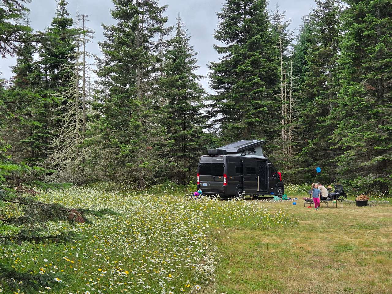 Our large site, with picnic table, water spigot, and large fire ring