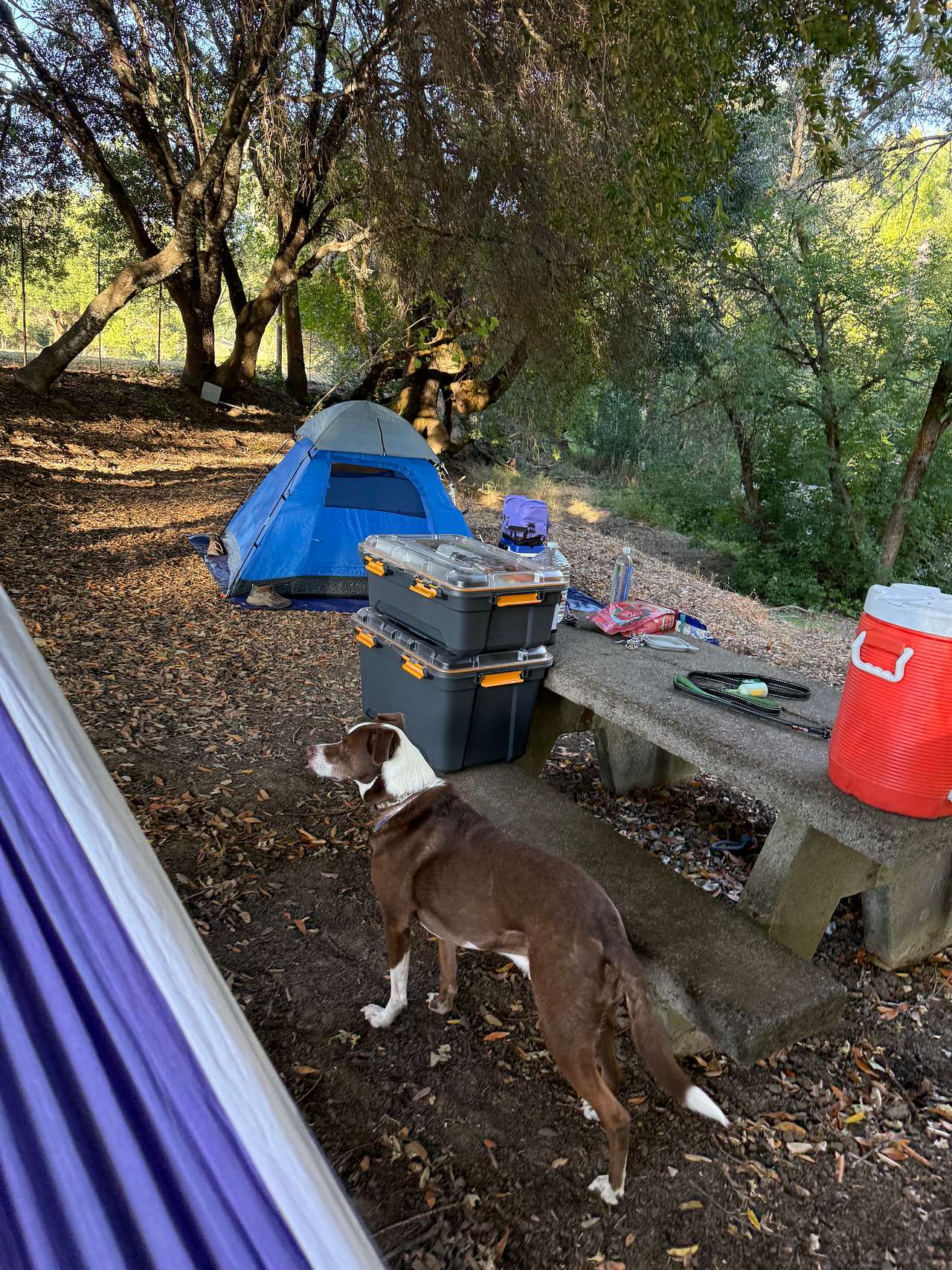 My site set up! 