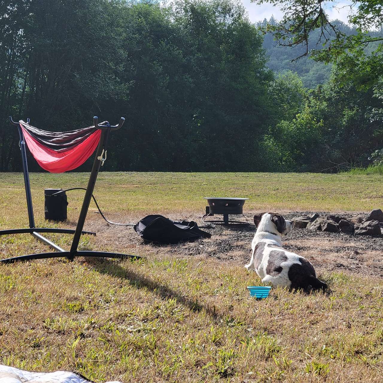 Healtop Forest Haven camp
