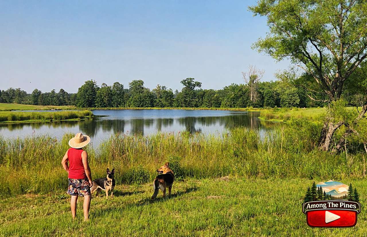 Ammon Creek Farm