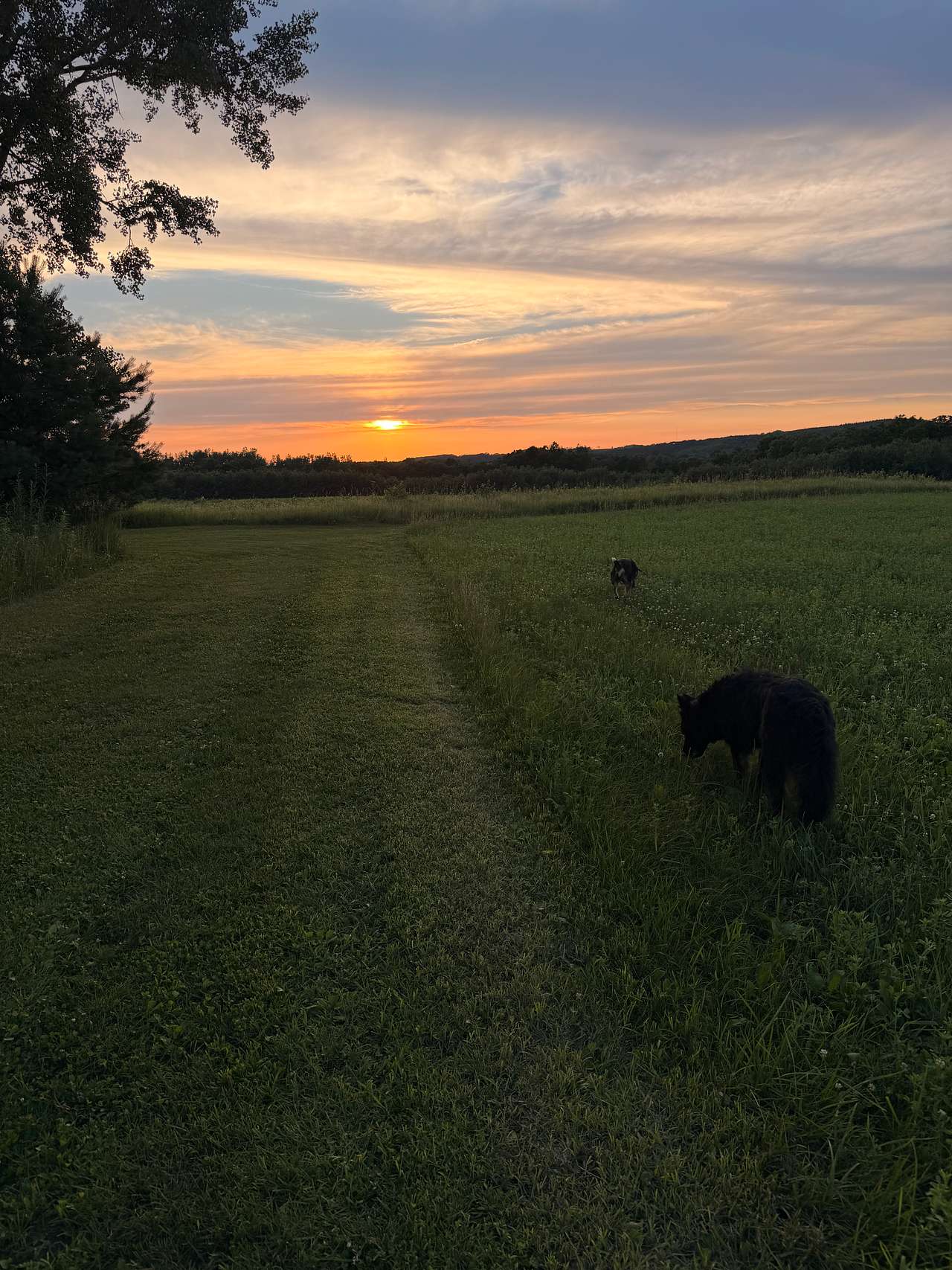 Lanesboro Acres