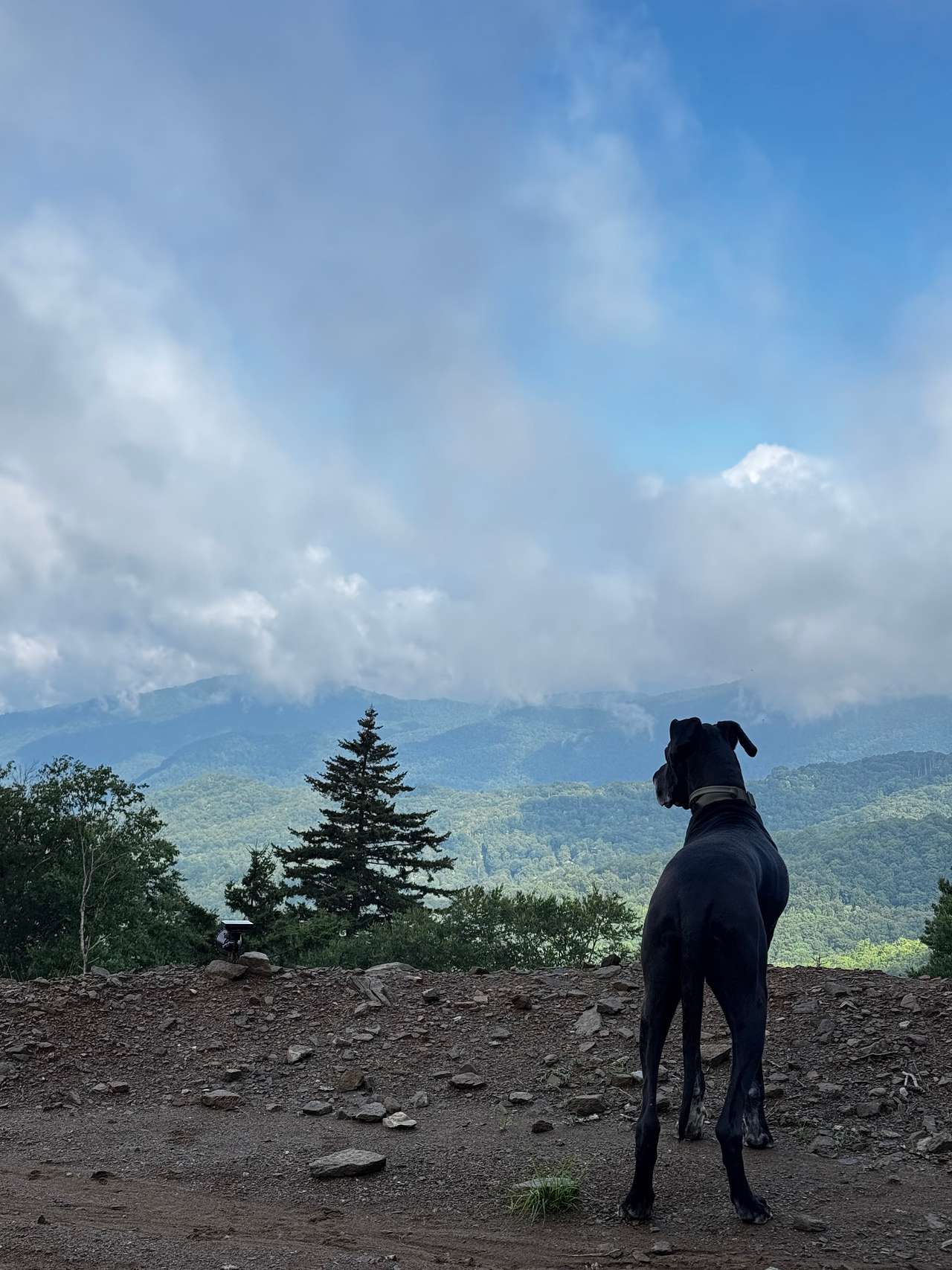 Billion Dollar View