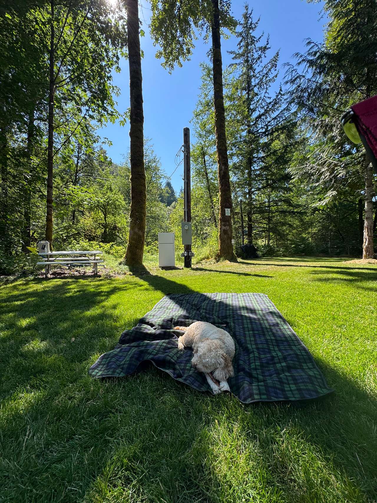 Witt's End Campground