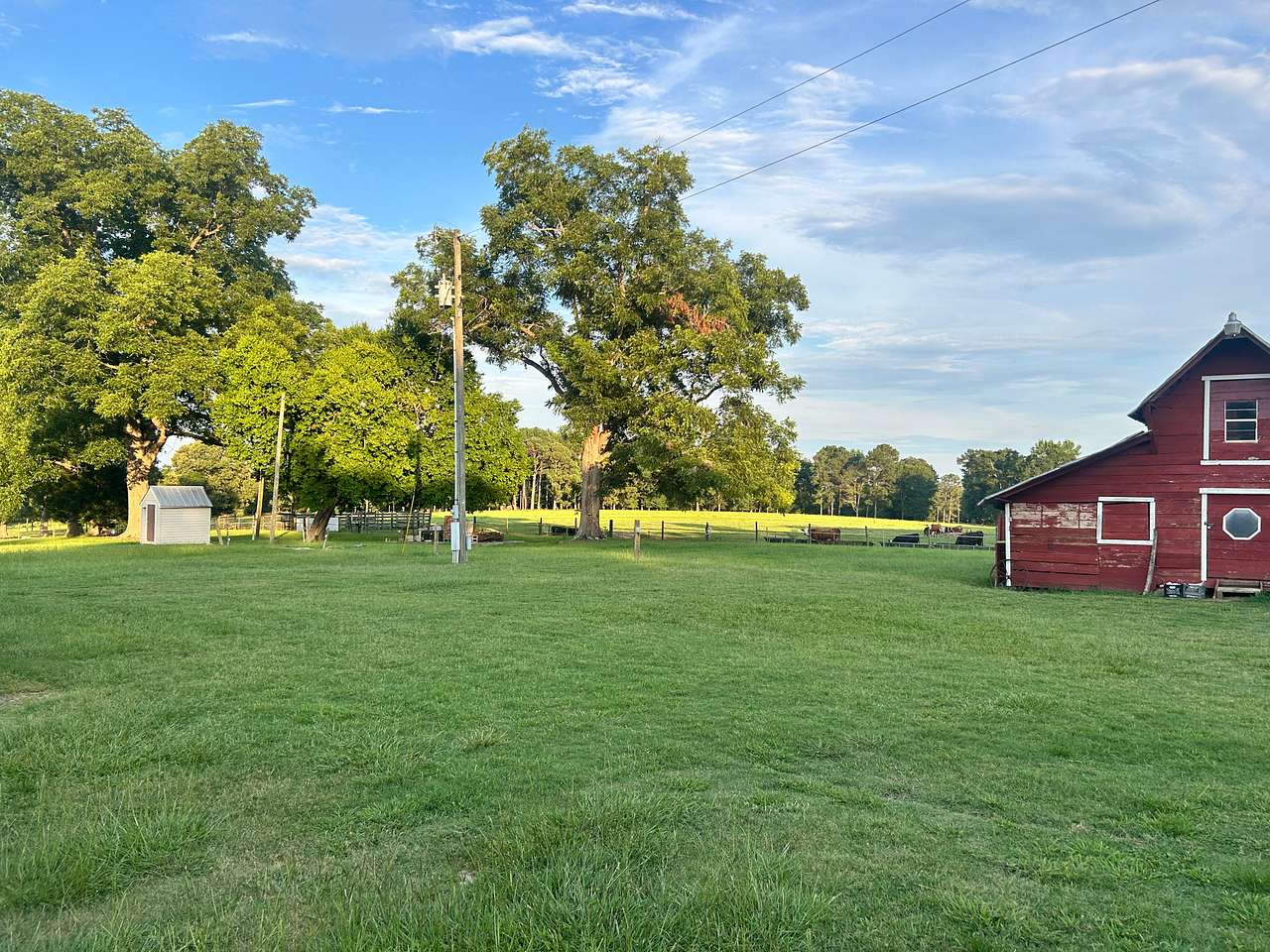 Dreamland Farms