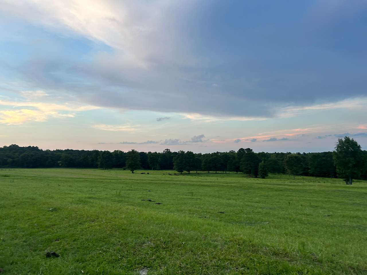 Dreamland Farms