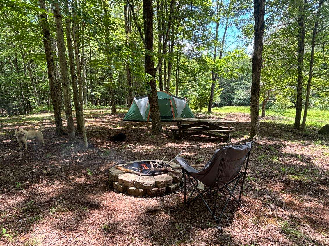 ZOAR VALLEY RIDGE