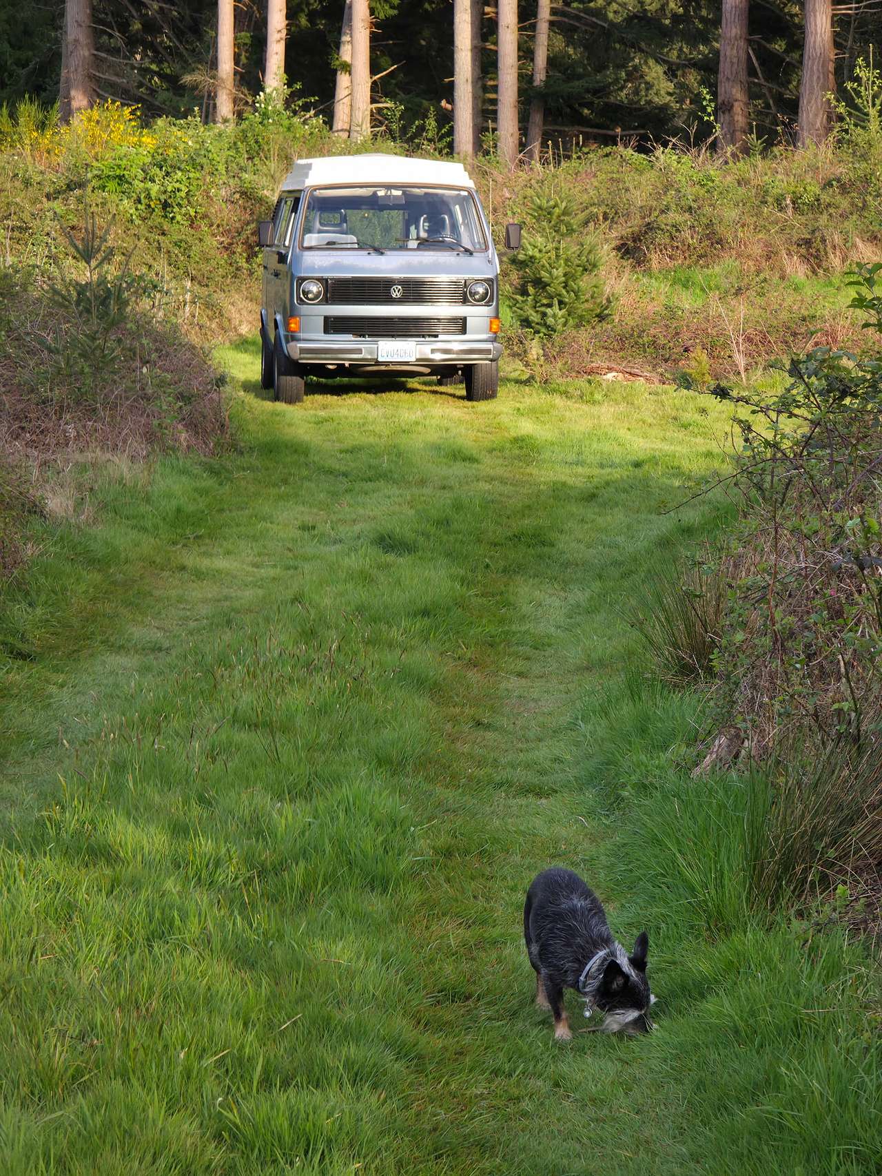 Wild Meadow Hideaway