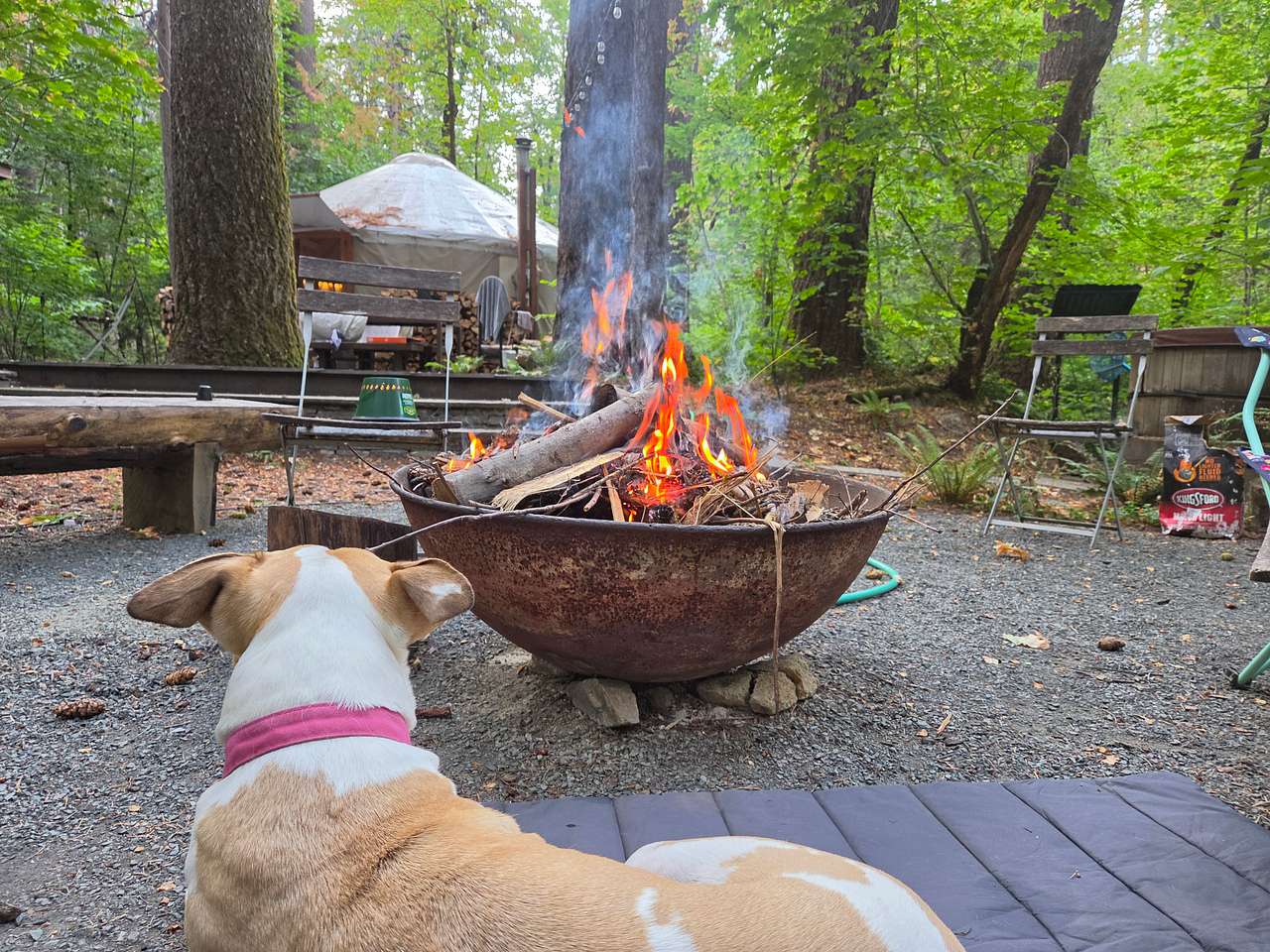 Private Yurts - Nevada City