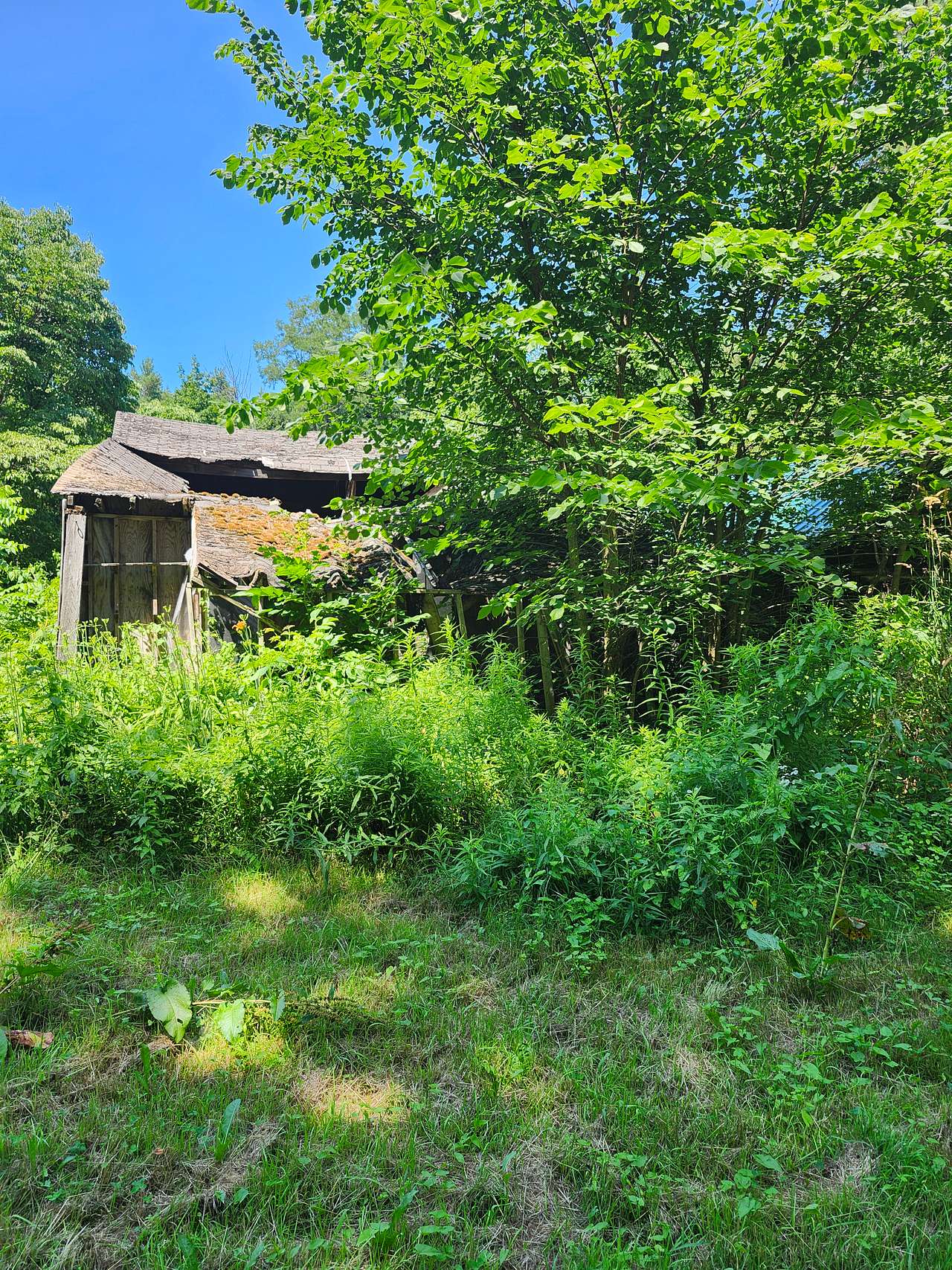 The remains of the Big Red Barn.