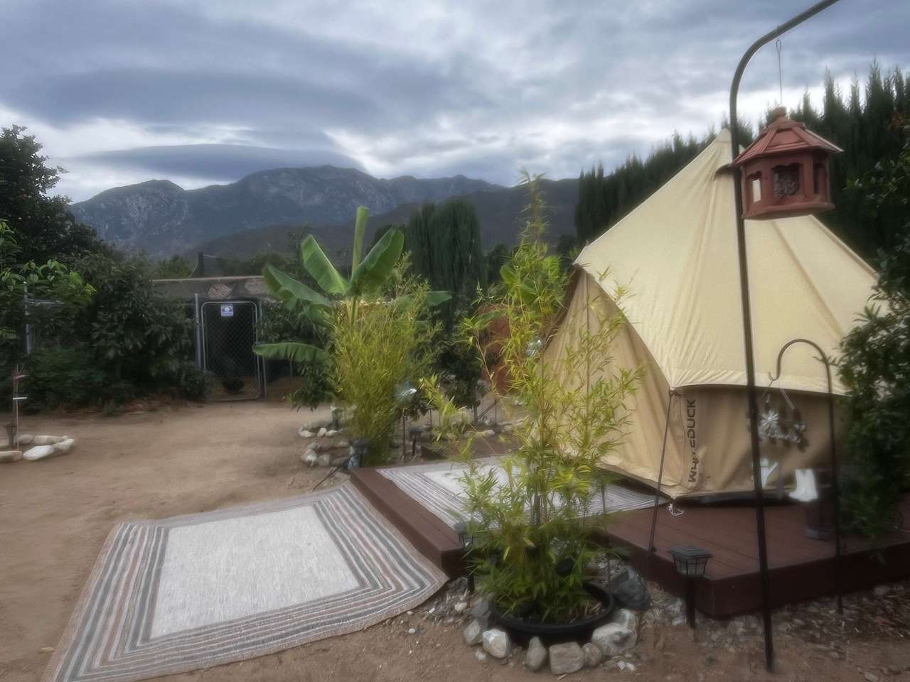 Harmony Heaven Campyard