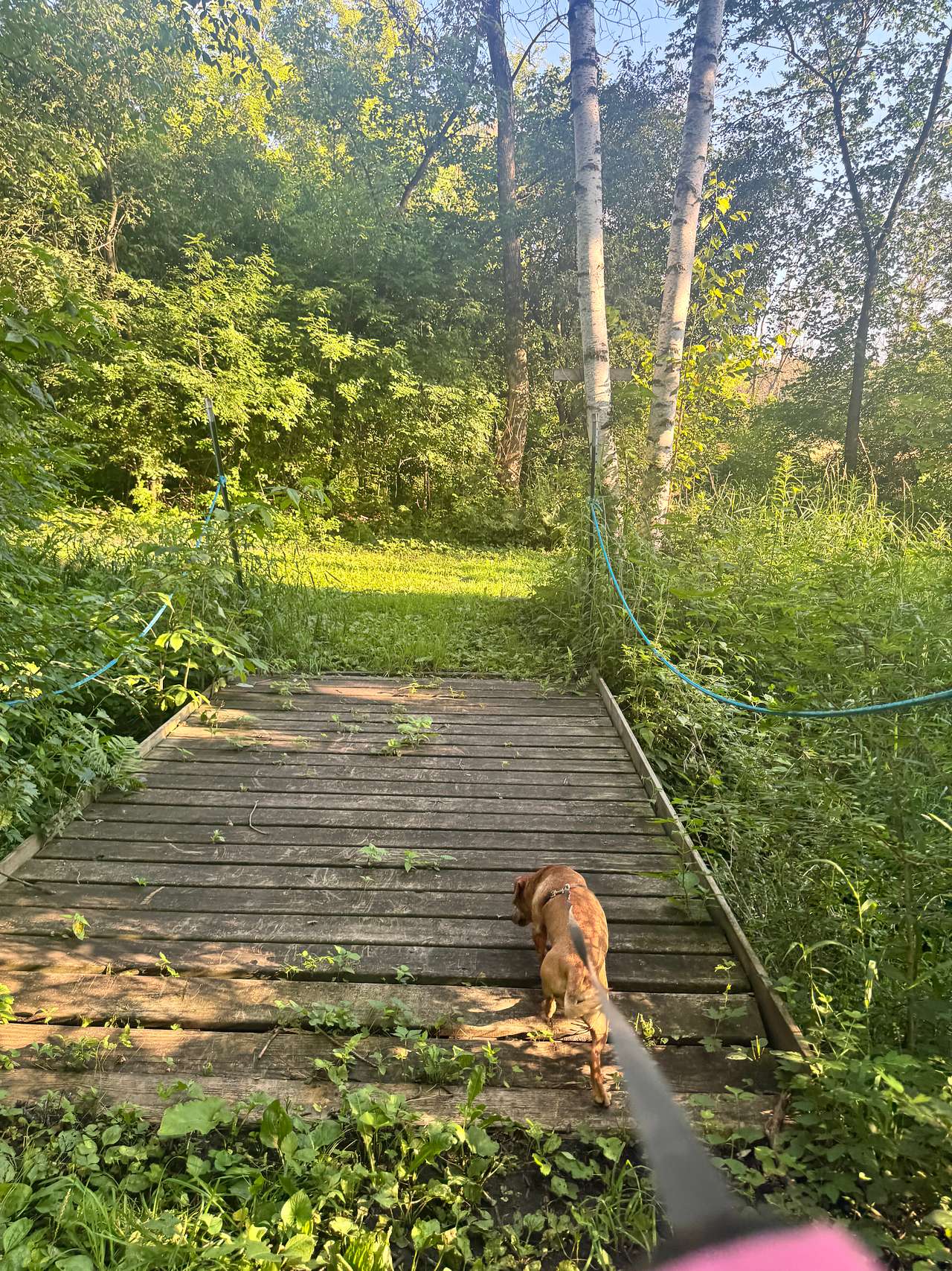 Exploring the grounds