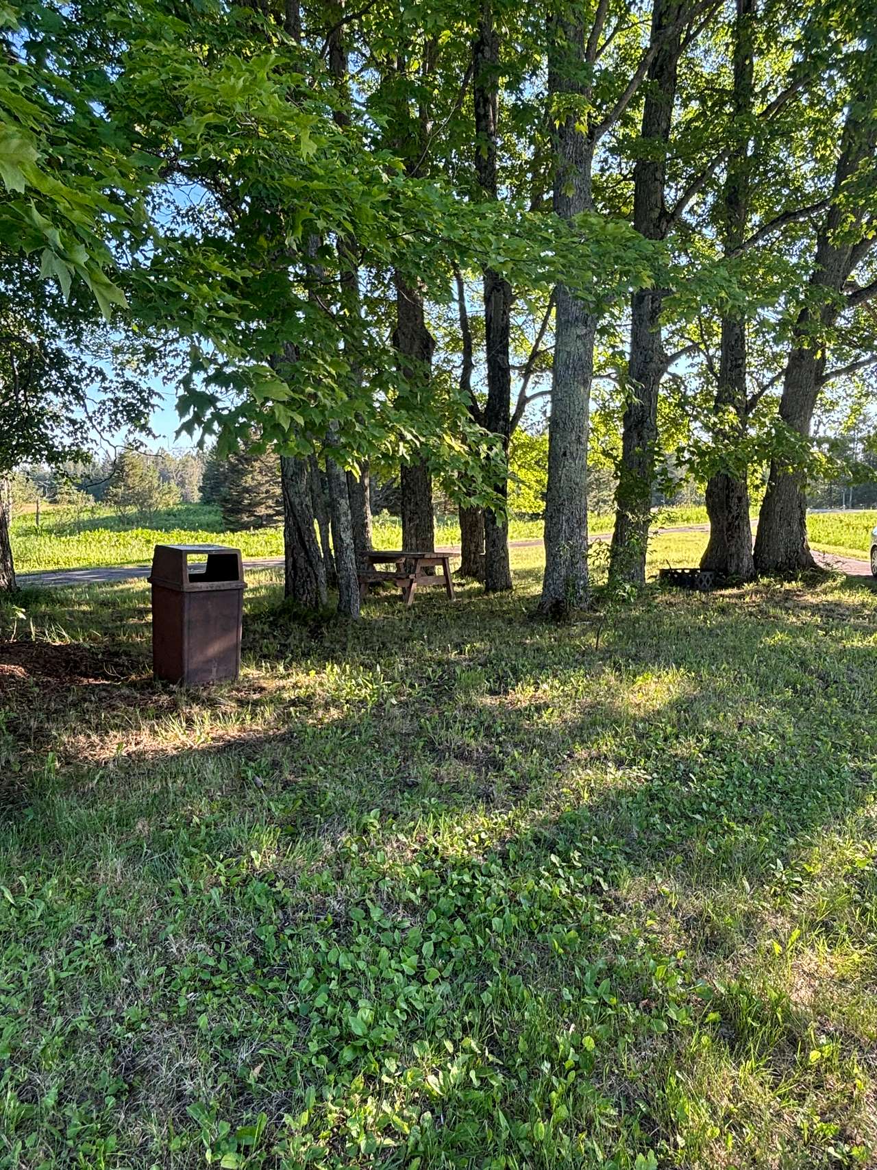 North 41 Place & Woodland Meadows