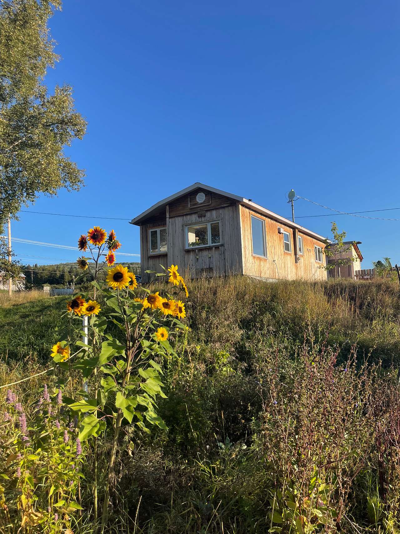 Cabane lumineuse et confortable