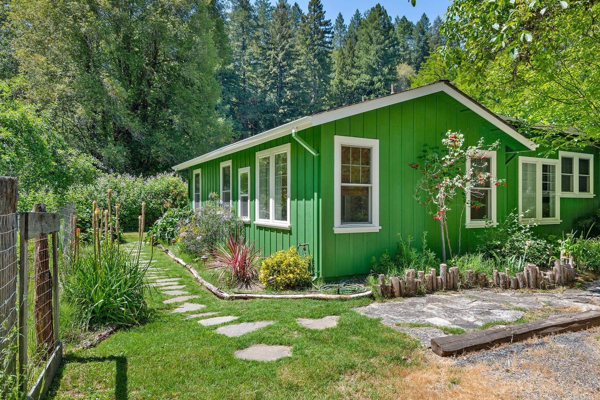 Forest View Ranch