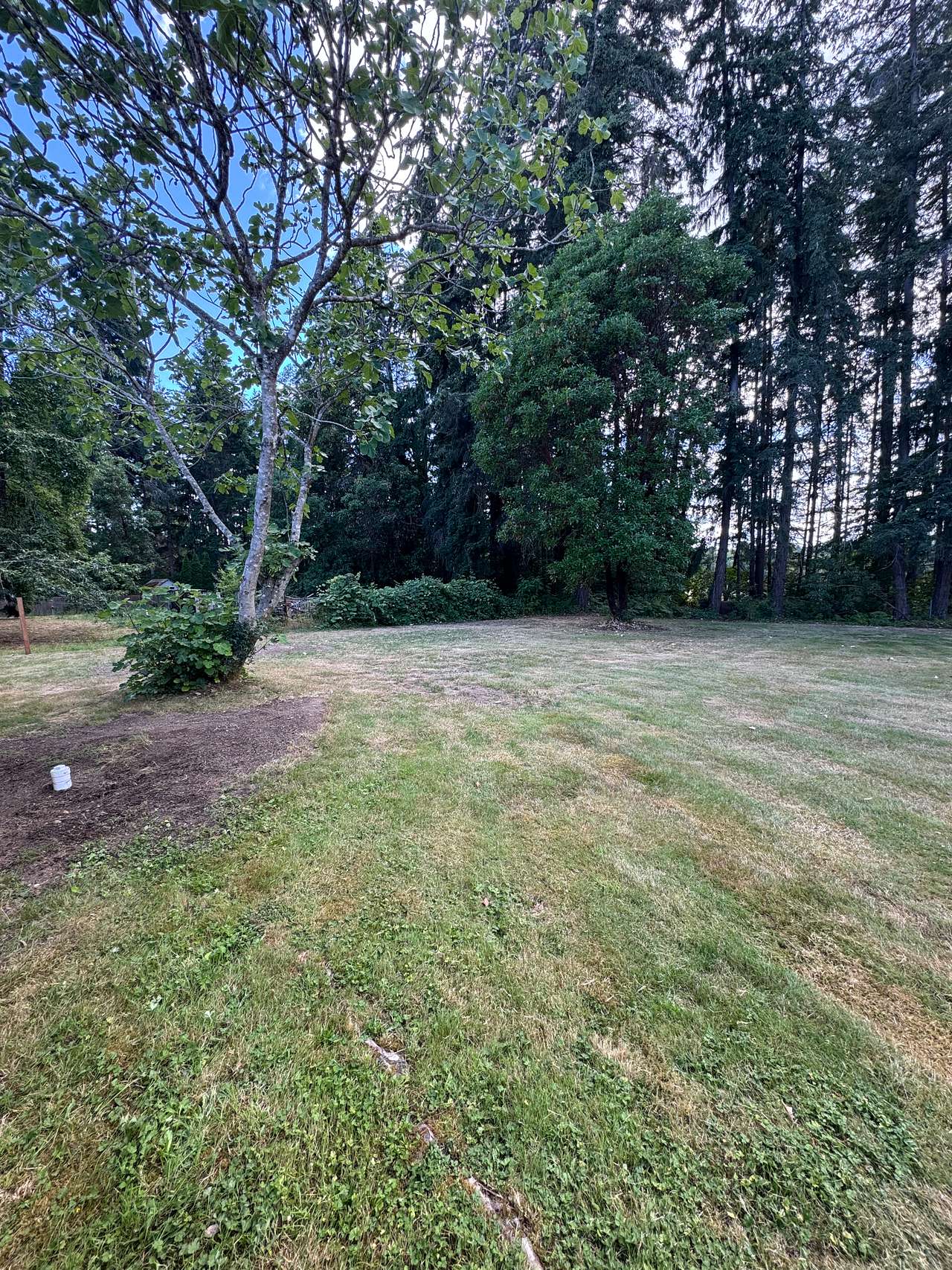 Mickey’s Camping Spot