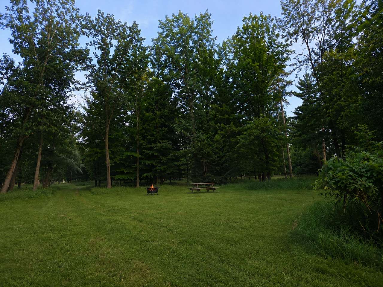 F-Around Ranch
