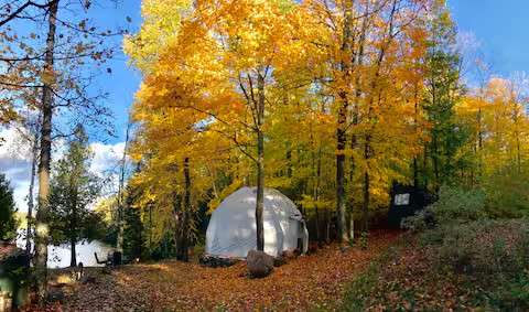 Delassa Forest