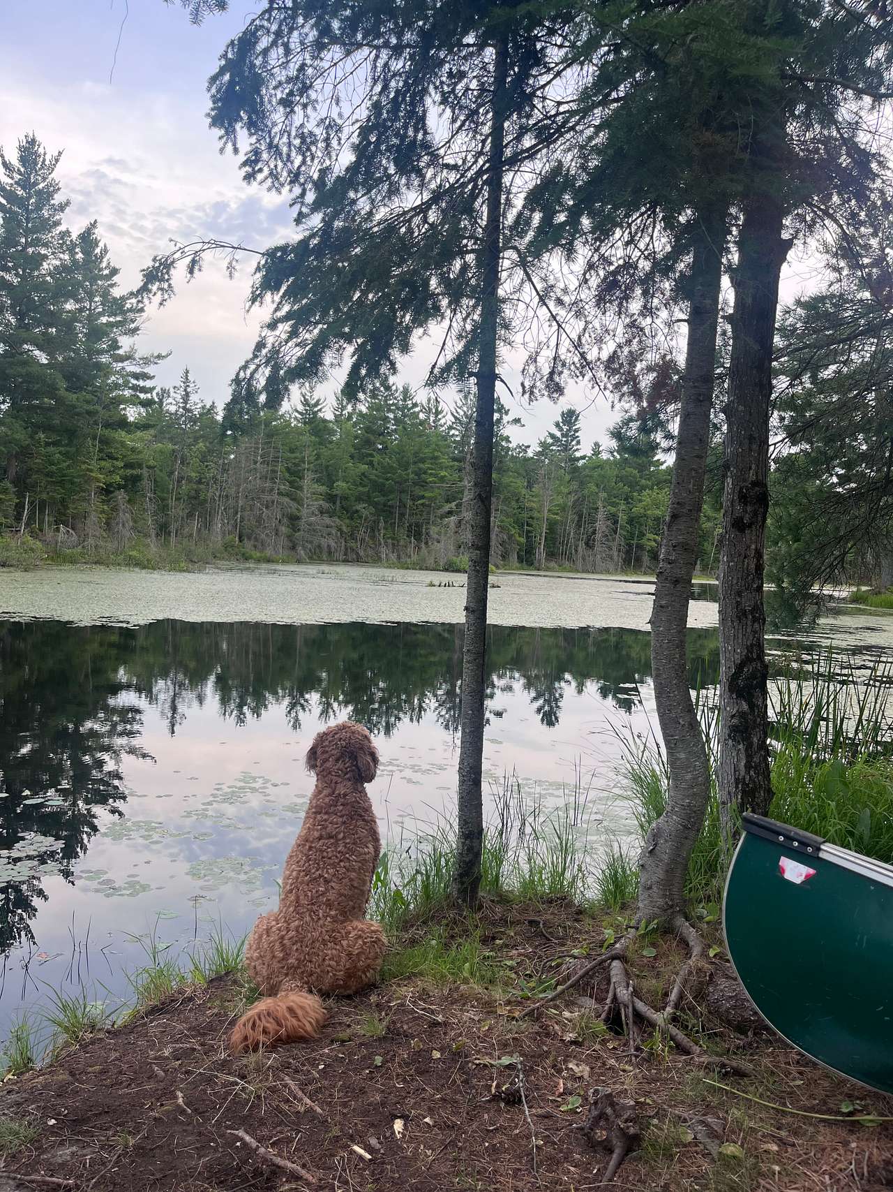 Hemlock Point Campground