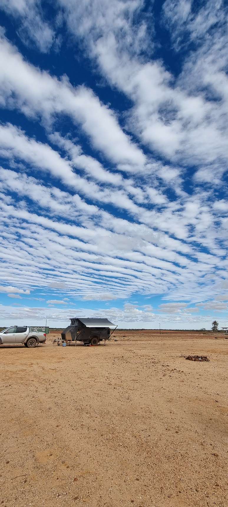 Birdsville Gibber Plot 🌵