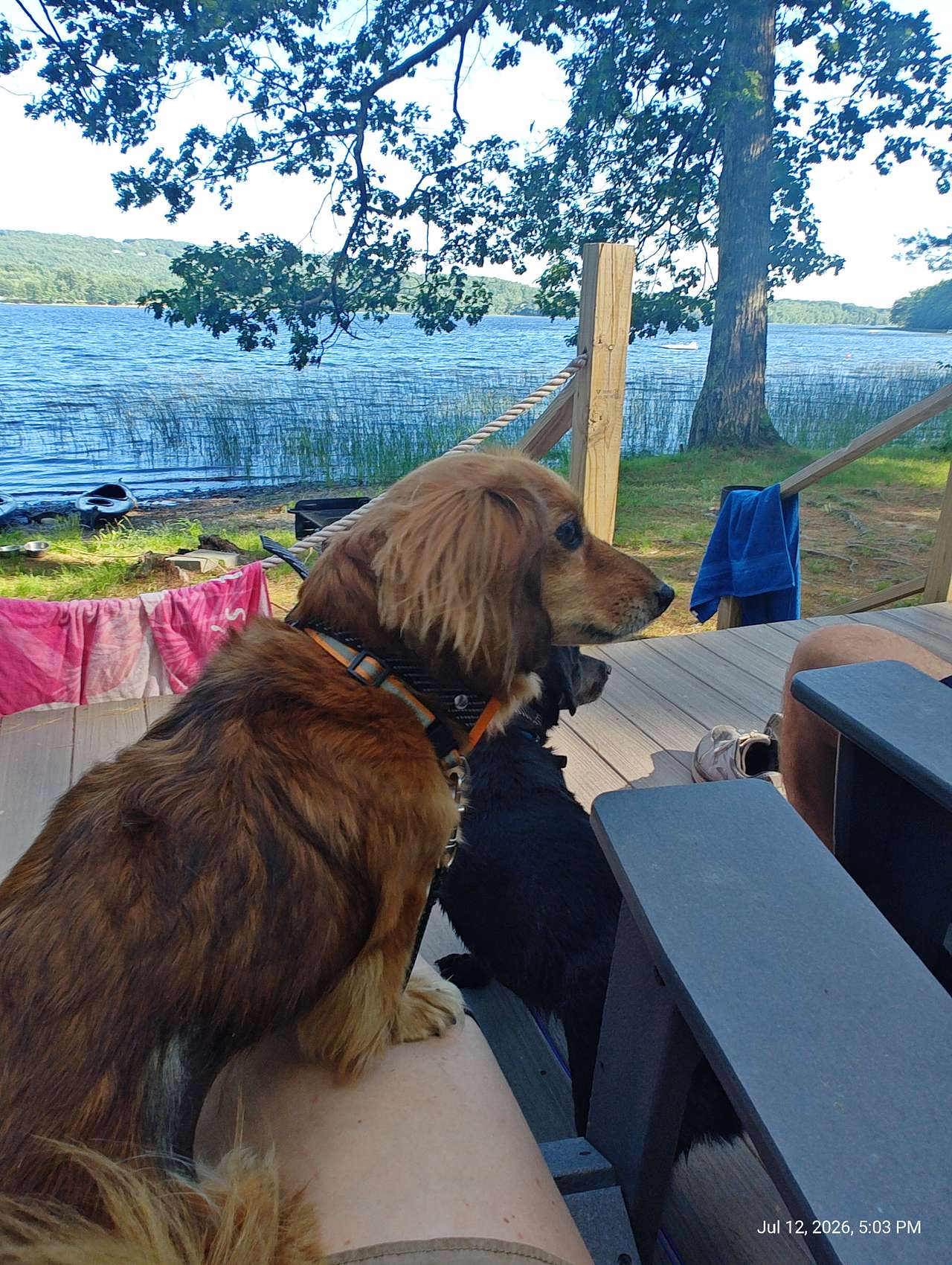 Sennebec Lake Campground