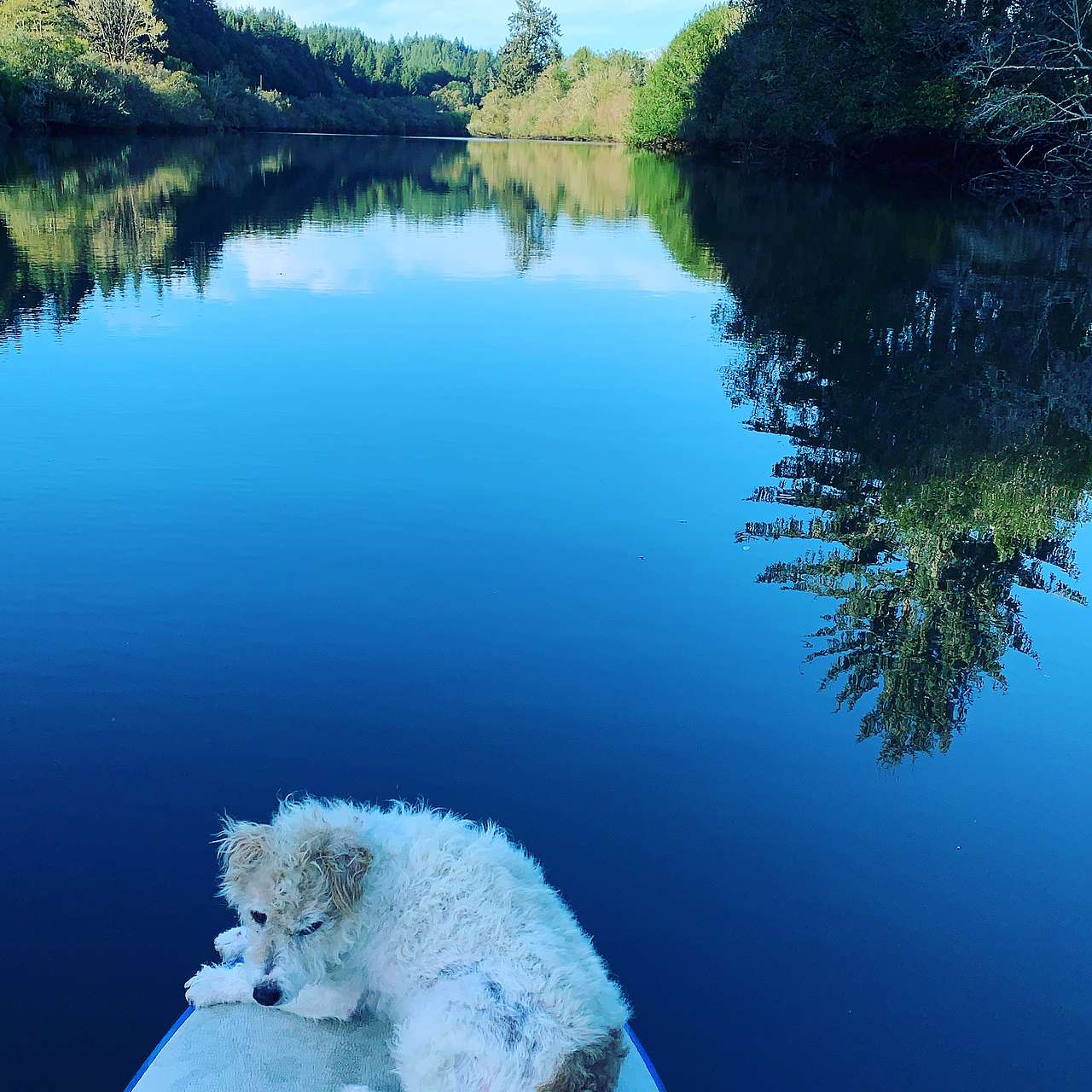 Riverbank Campground
